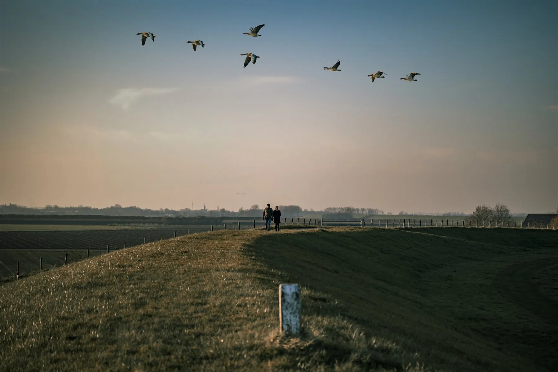 wandelen langs de Westerschelde op de dijk Zeeuws-Vlaanderen Luxe B&B in Zeeland: Het verborgen Geluk