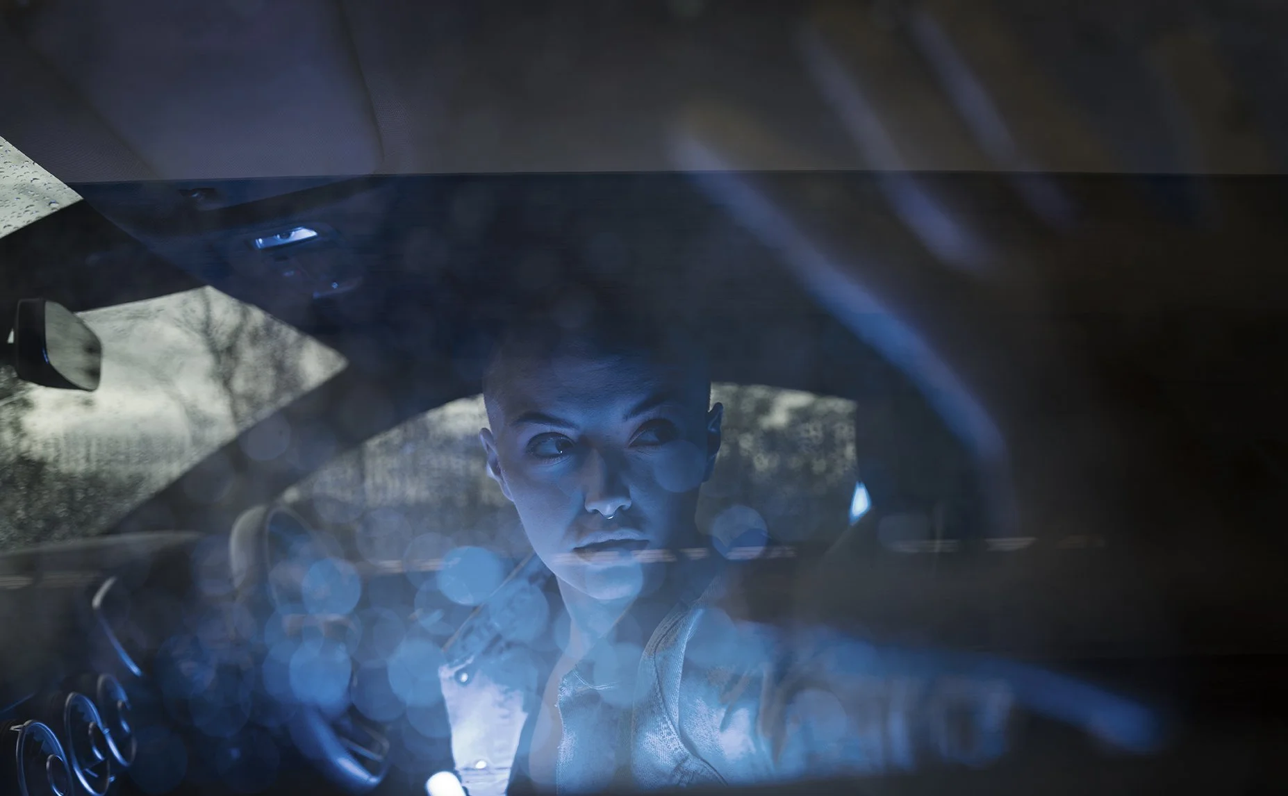 L1030123-2ab web.jpg