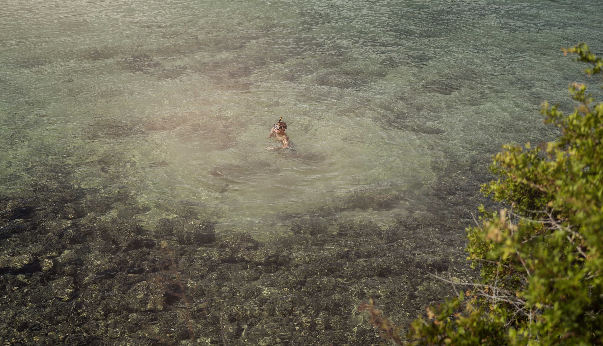 L1022389a_2a web1.jpg