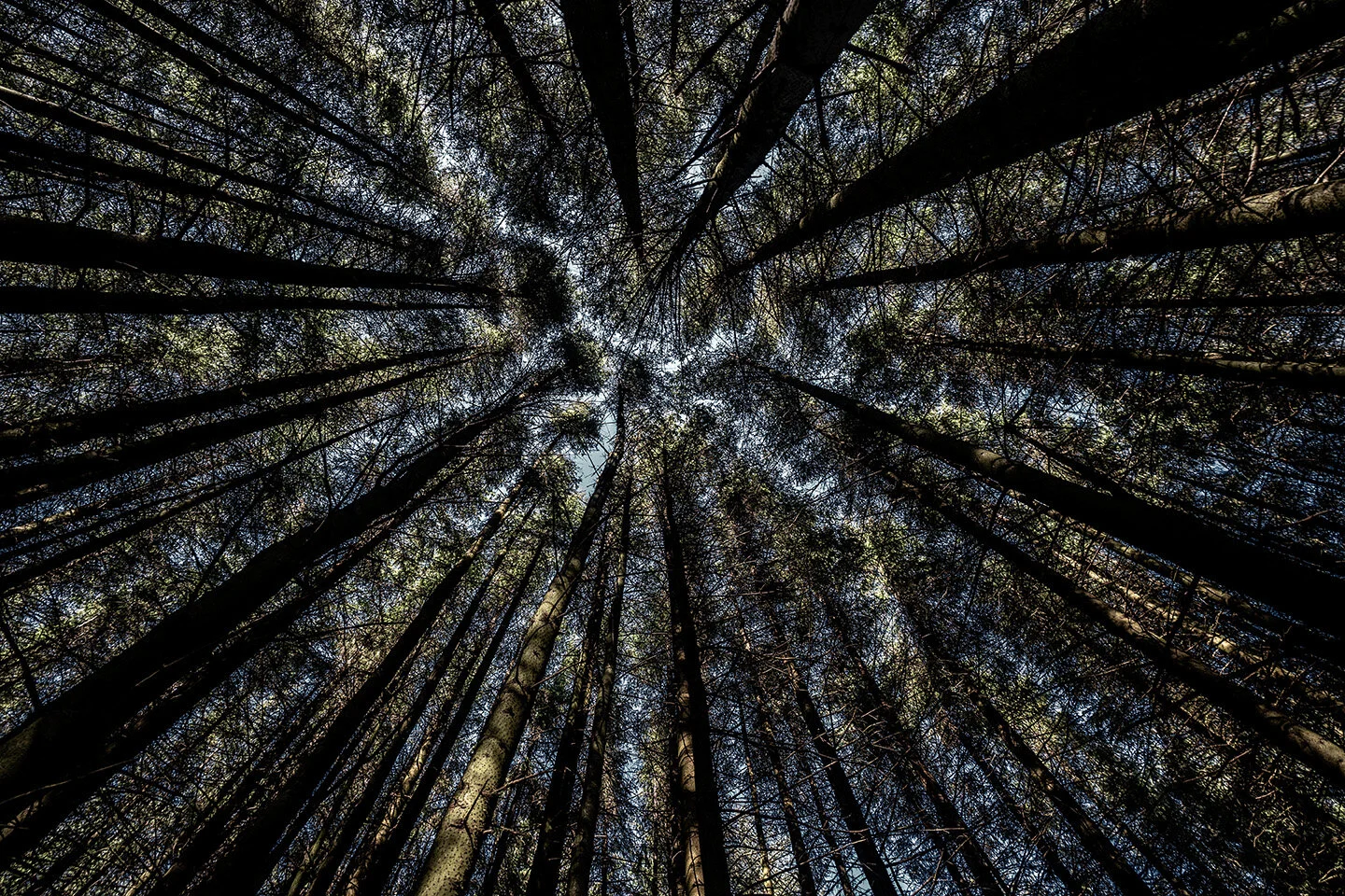 21-0078LD-063 website.jpg