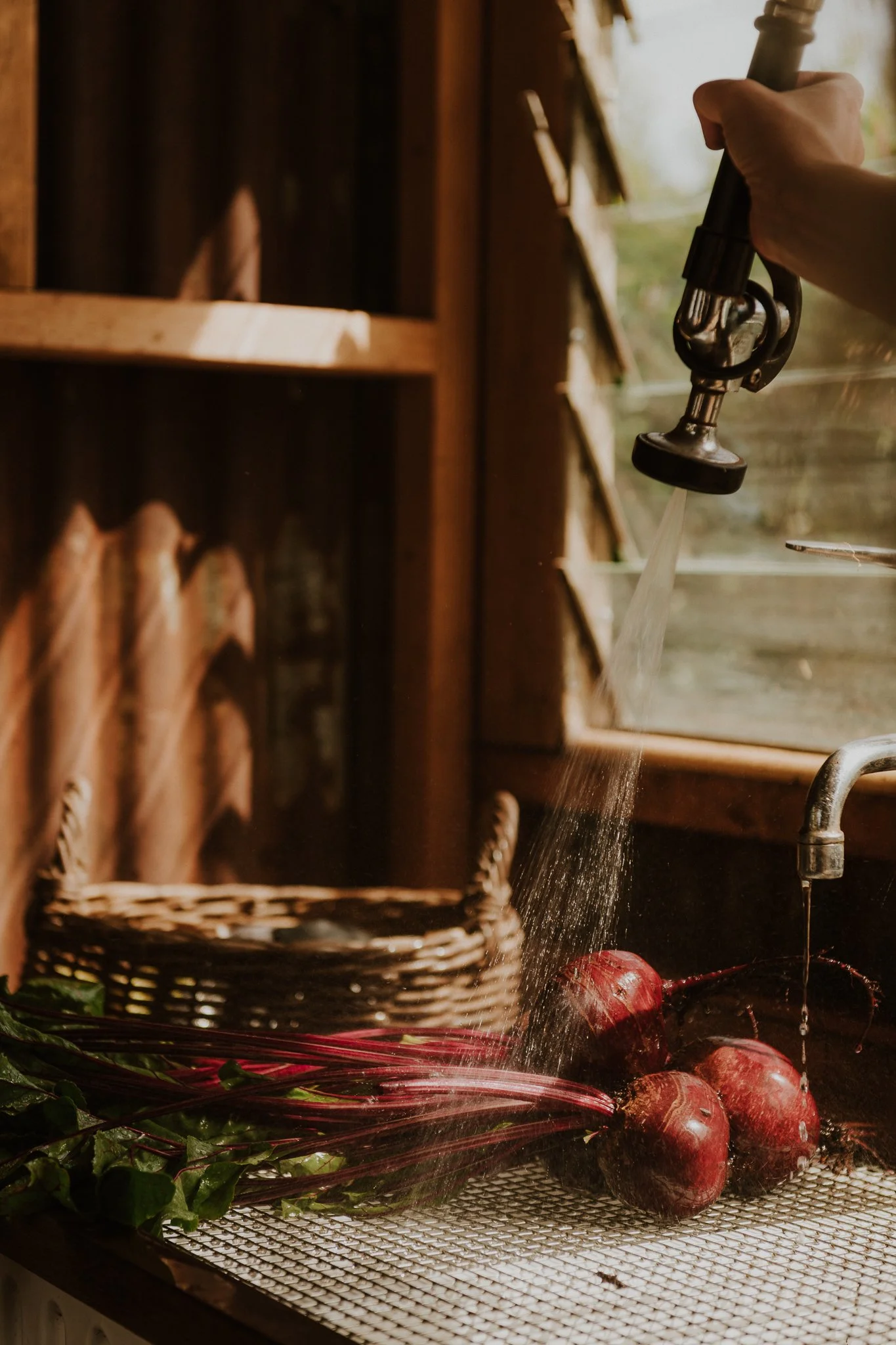 babbington park nicky cawood-08.jpg