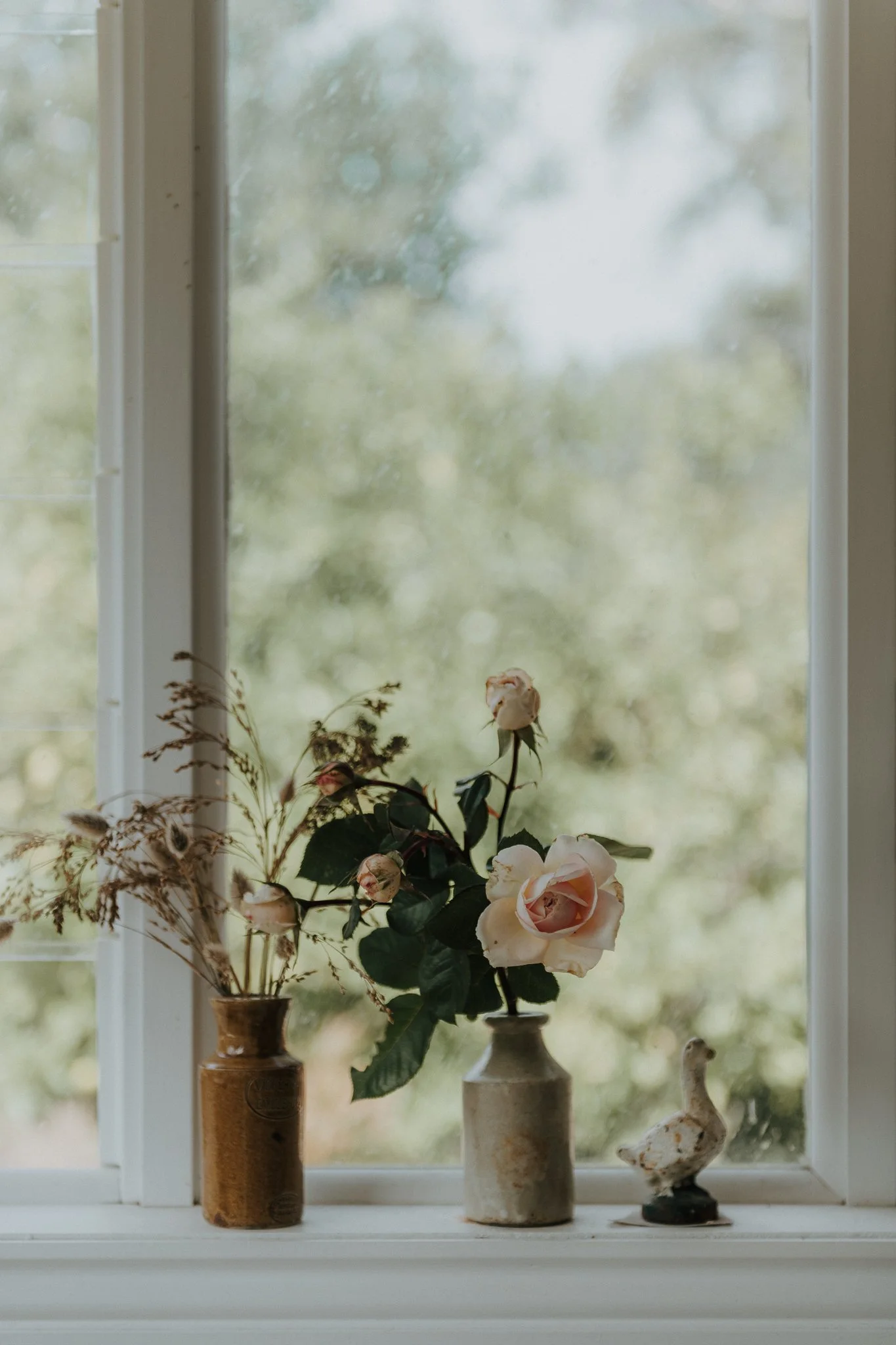 babbington park nicky cawood-18.jpg