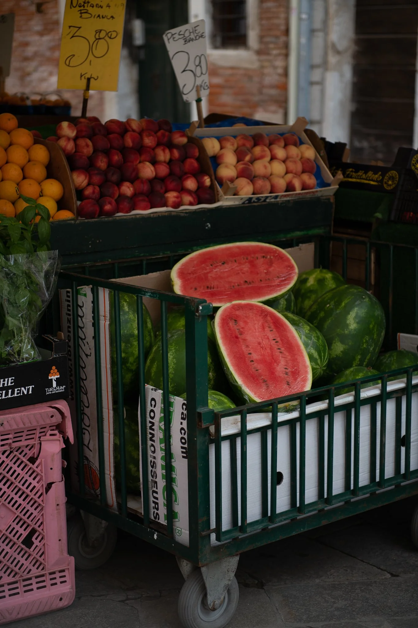 italy 2022 credit nicky cawood-09.jpg