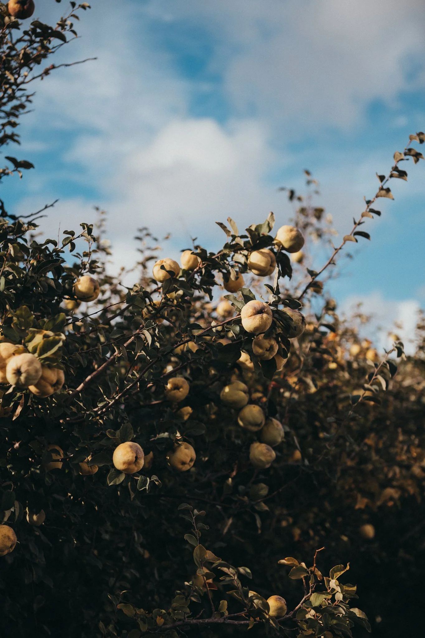 portugal 2024 credit nicky cawood-6.jpg