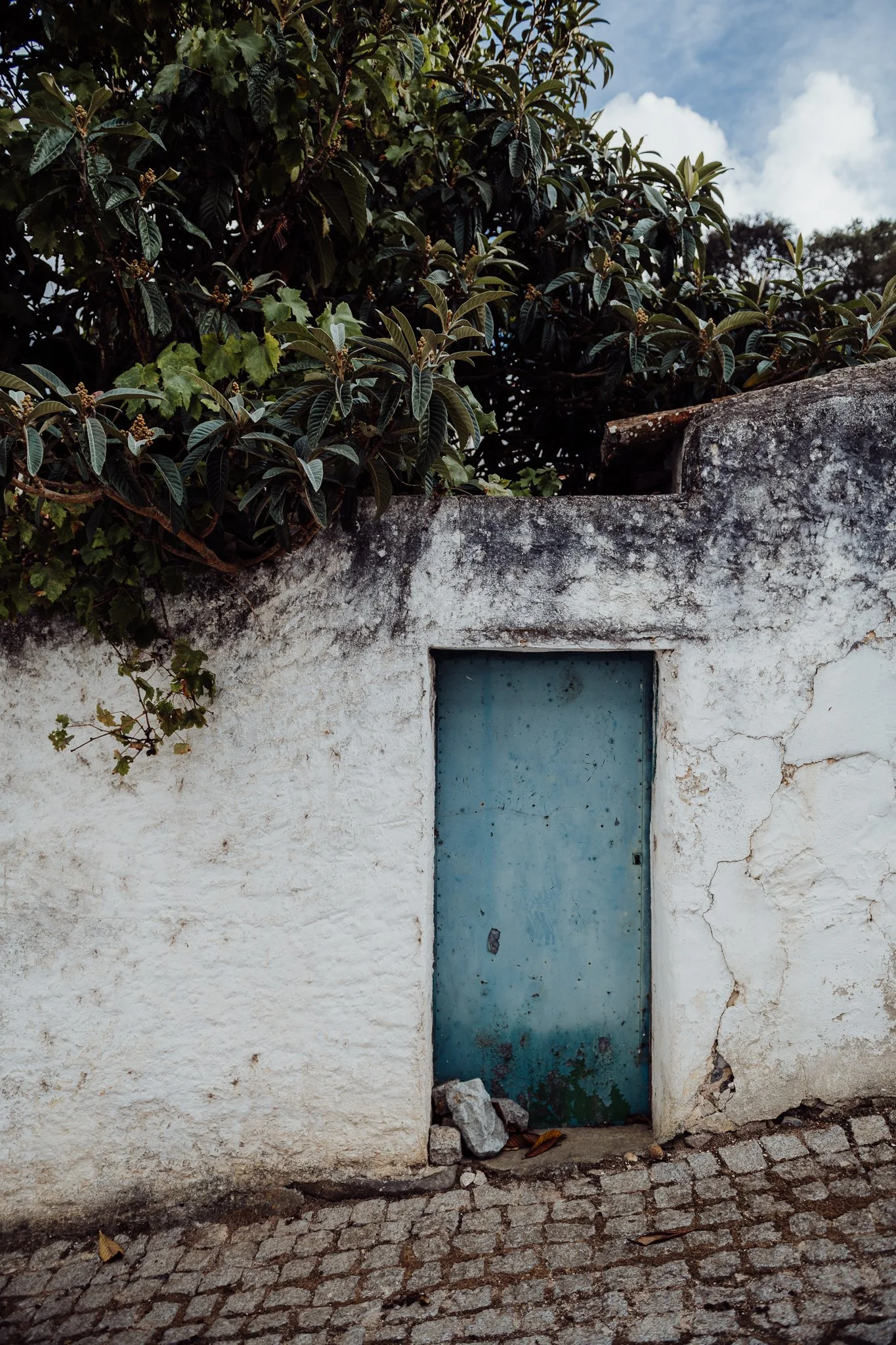 portugal 2024 credit nicky cawood-5.jpg