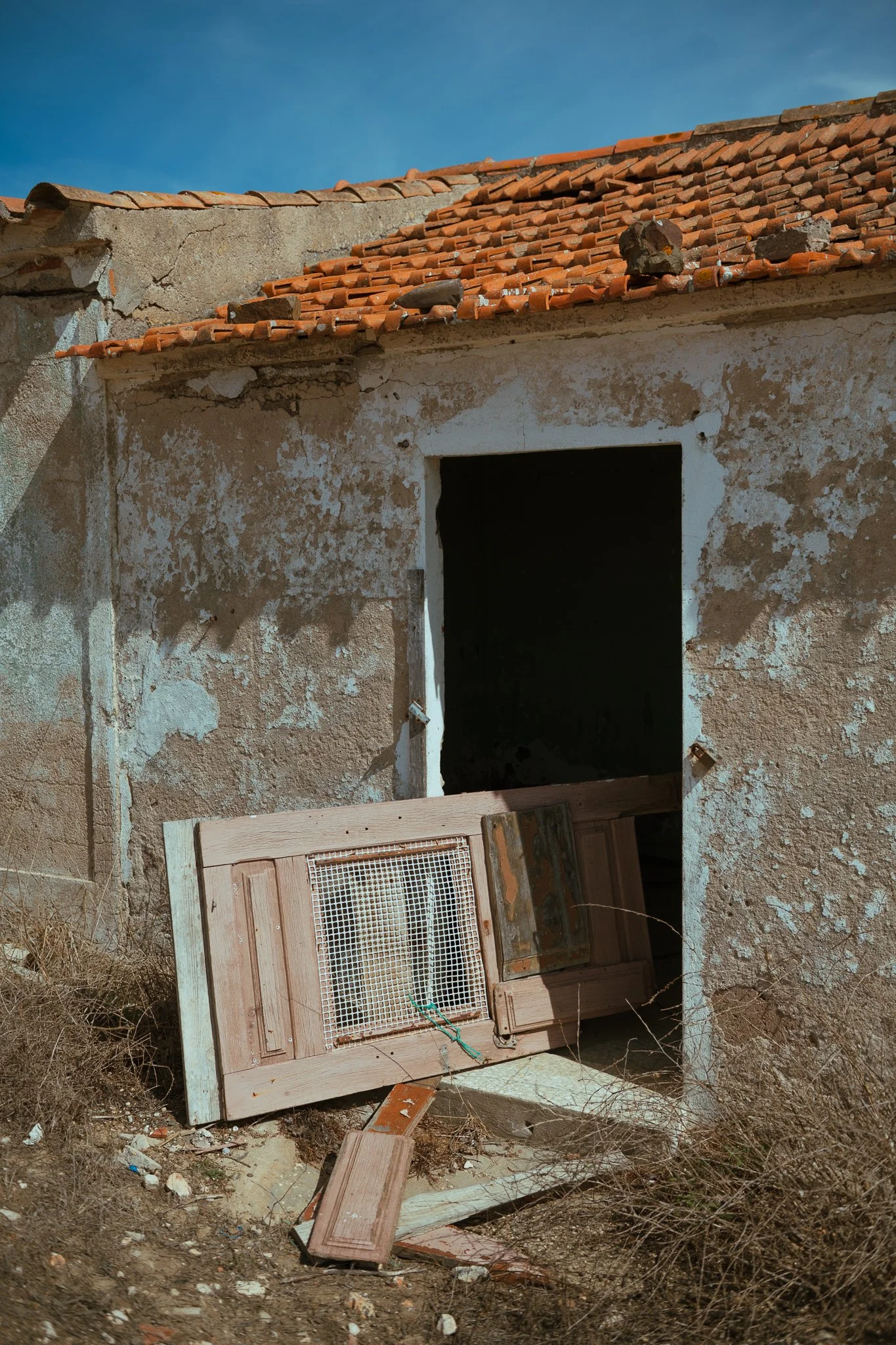 portugal 2024 credit nicky cawood-7.jpg