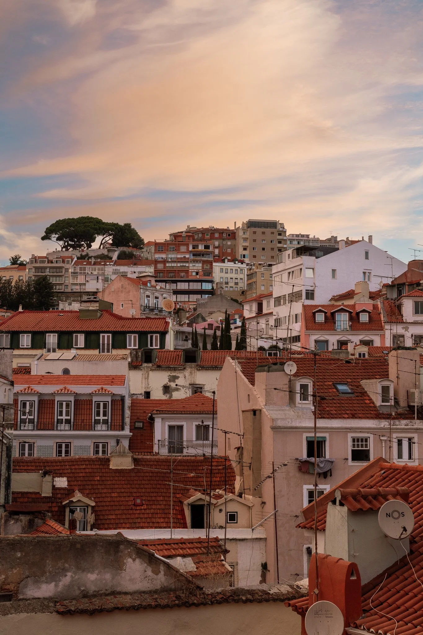 portugal 2024 credit nicky cawood-21.jpg