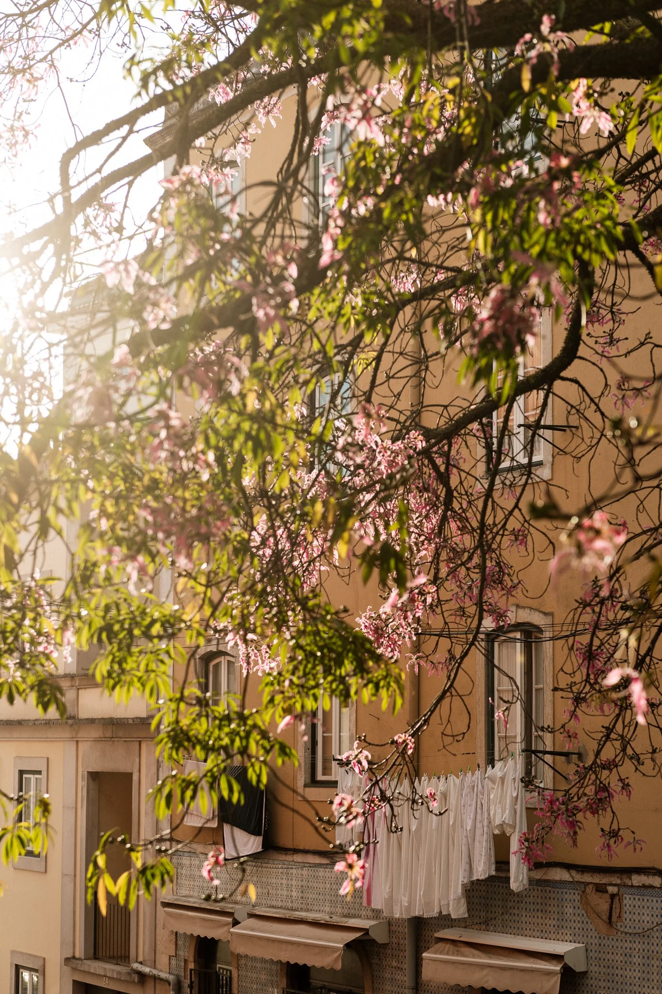 portugal 2024 credit nicky cawood-27.jpg