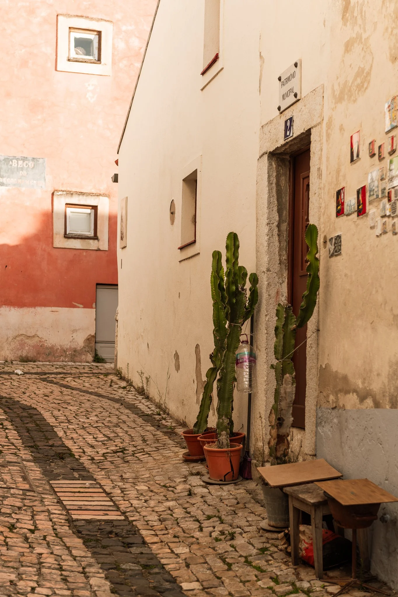 portugal 2024 credit nicky cawood-28.jpg