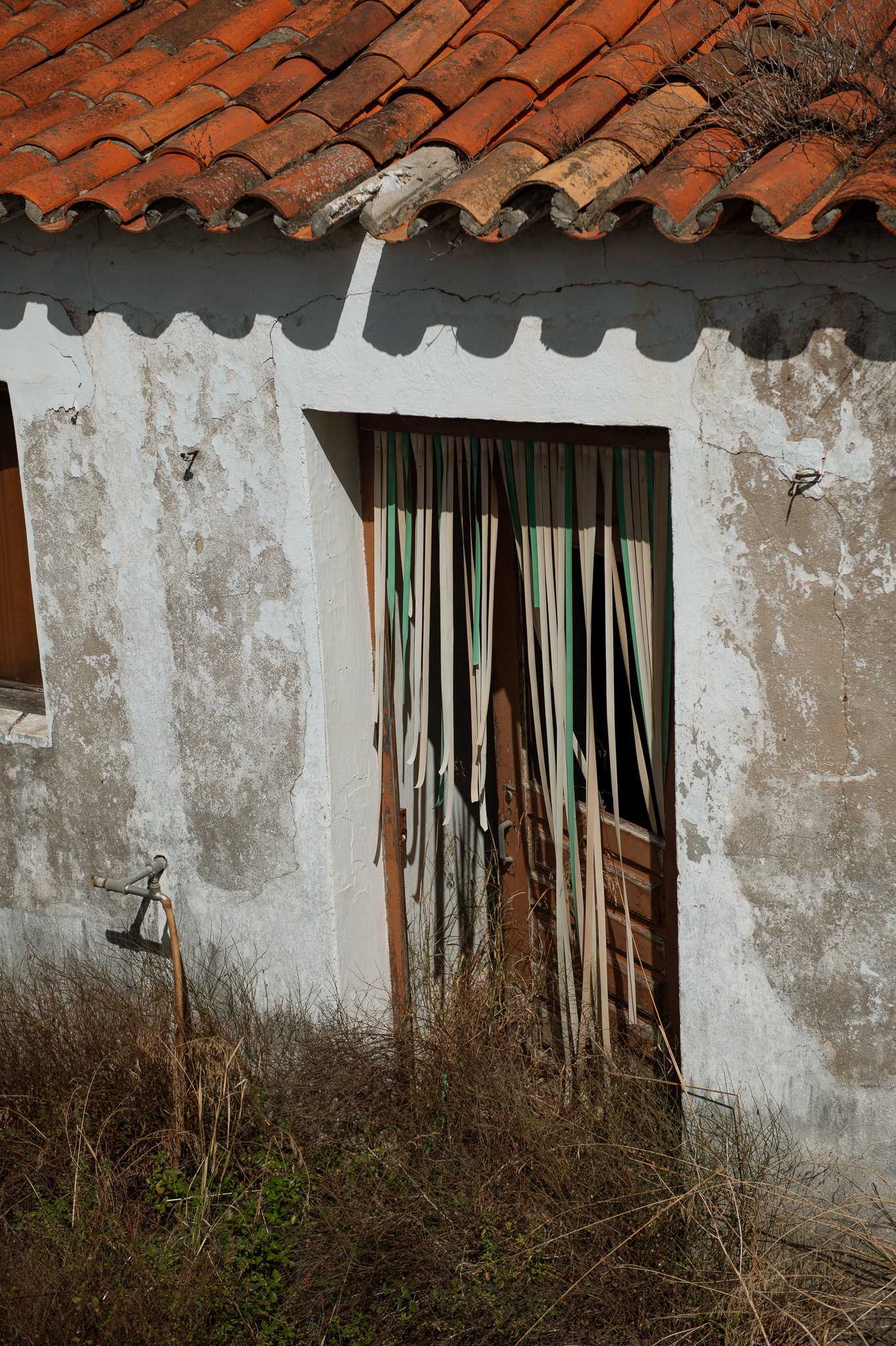 portugal 2024 credit nicky cawood-31.jpg