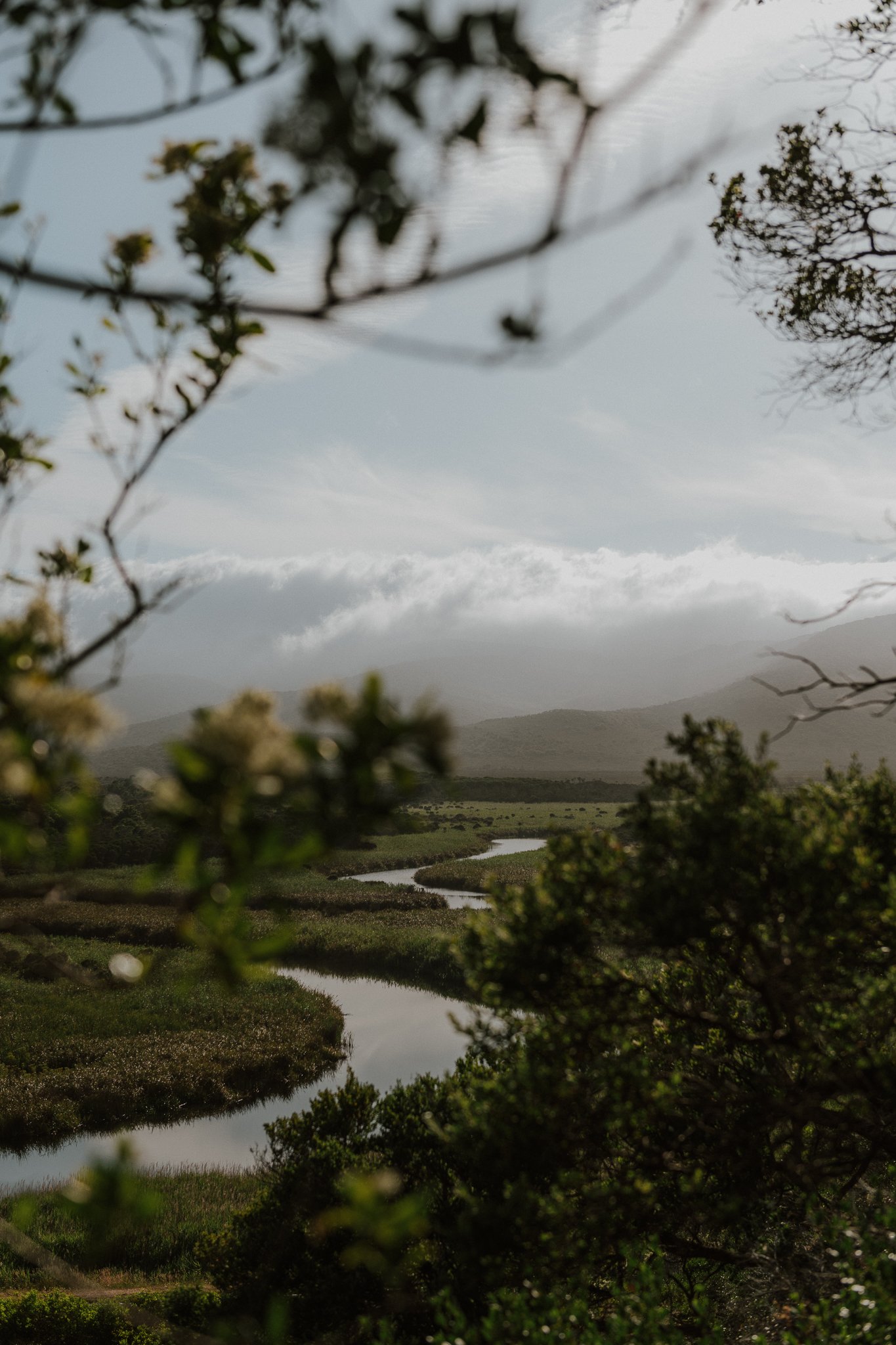 FAIRY COVE  NICKY CAWOOD-1.jpg