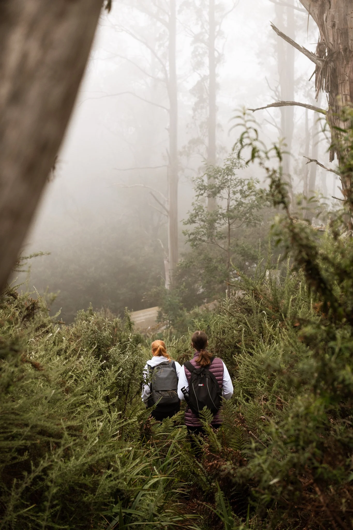 mushroom rocks nicky cawood-2.jpg