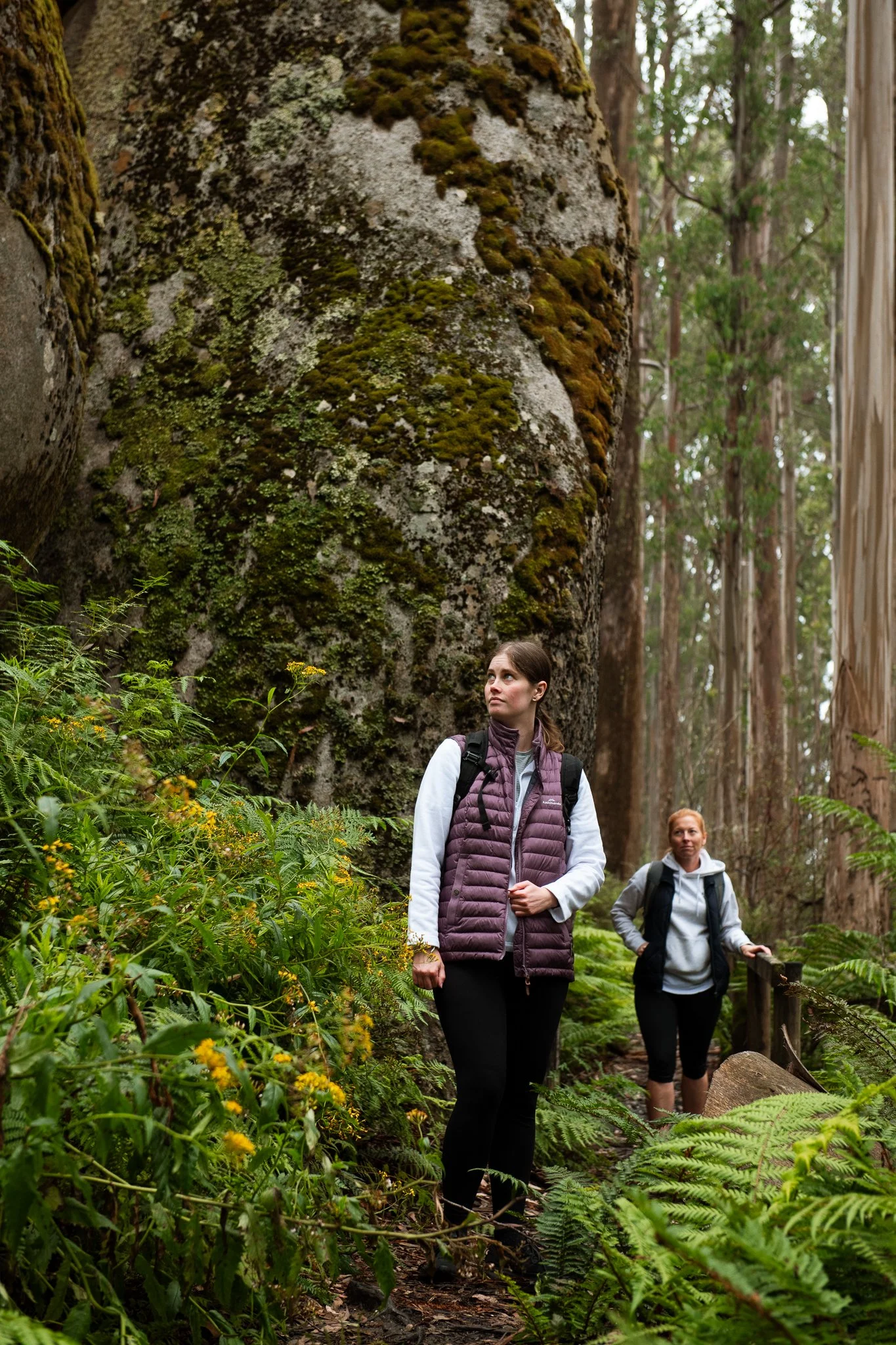 mushroom rocks nicky cawood-1.jpg