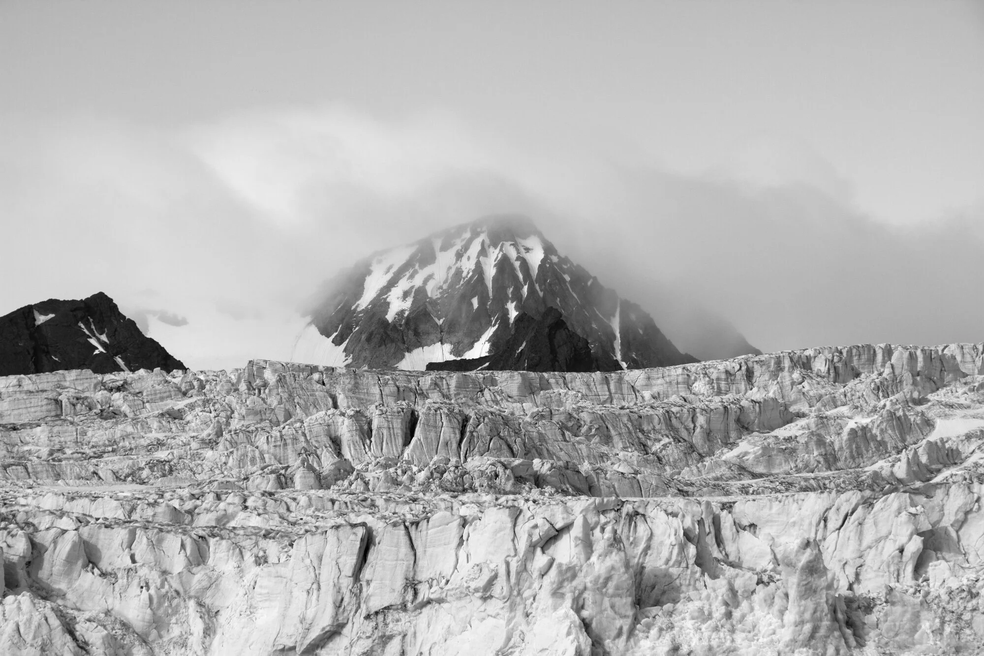 land-crop-4.jpg