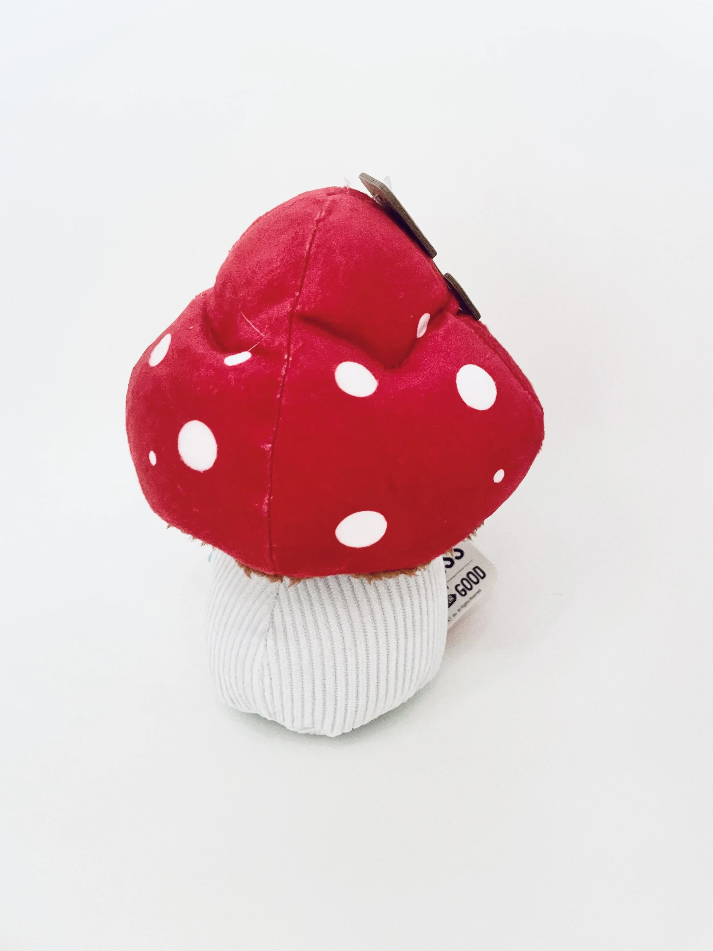 Magic mushroom