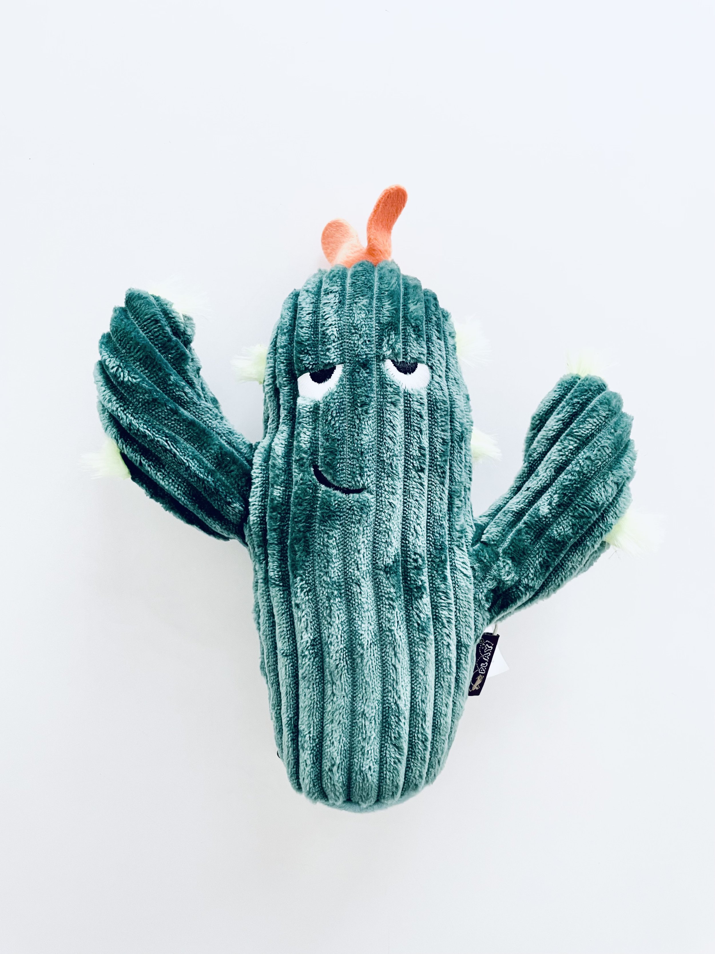 FullSizeRender 12.jpeg