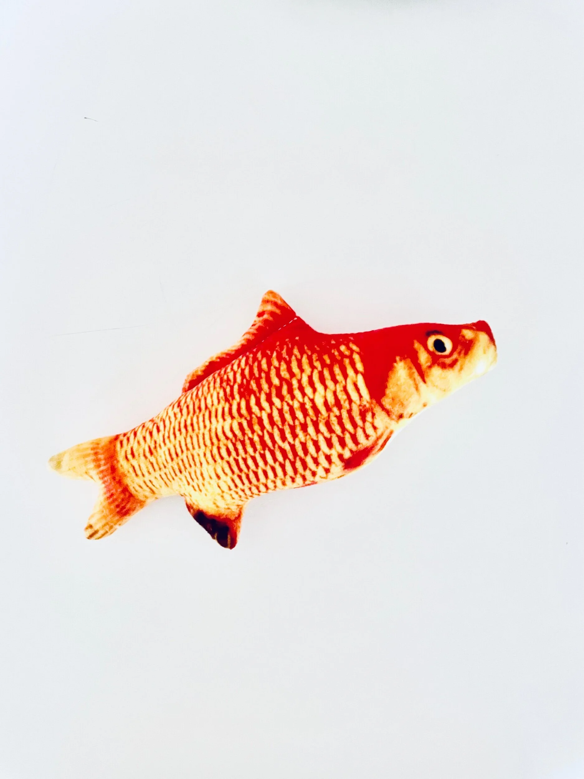 CEA98ADD-1E67-428F-8E62-4A548B5EBCEB