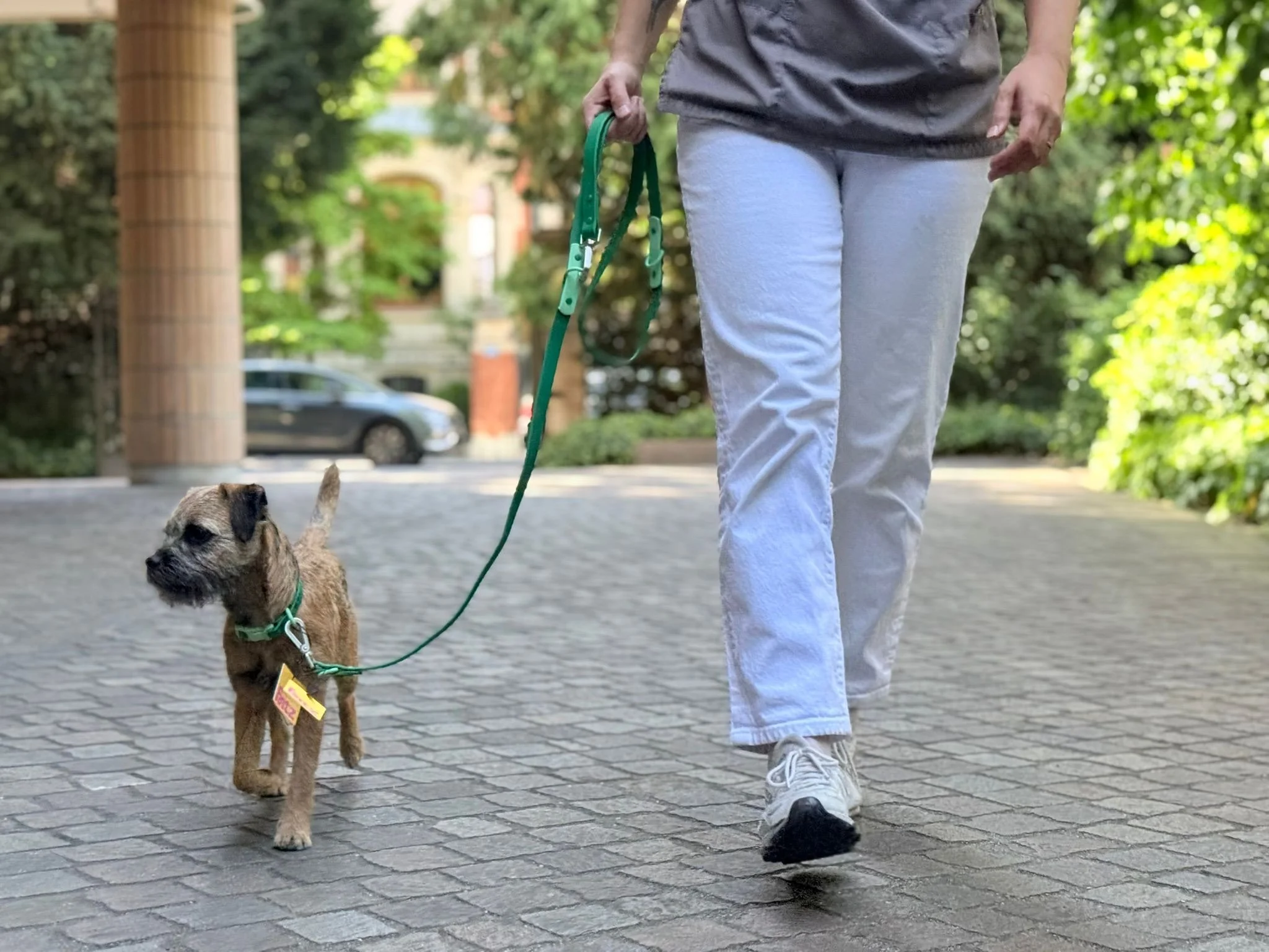 IMG_0533.jpg
