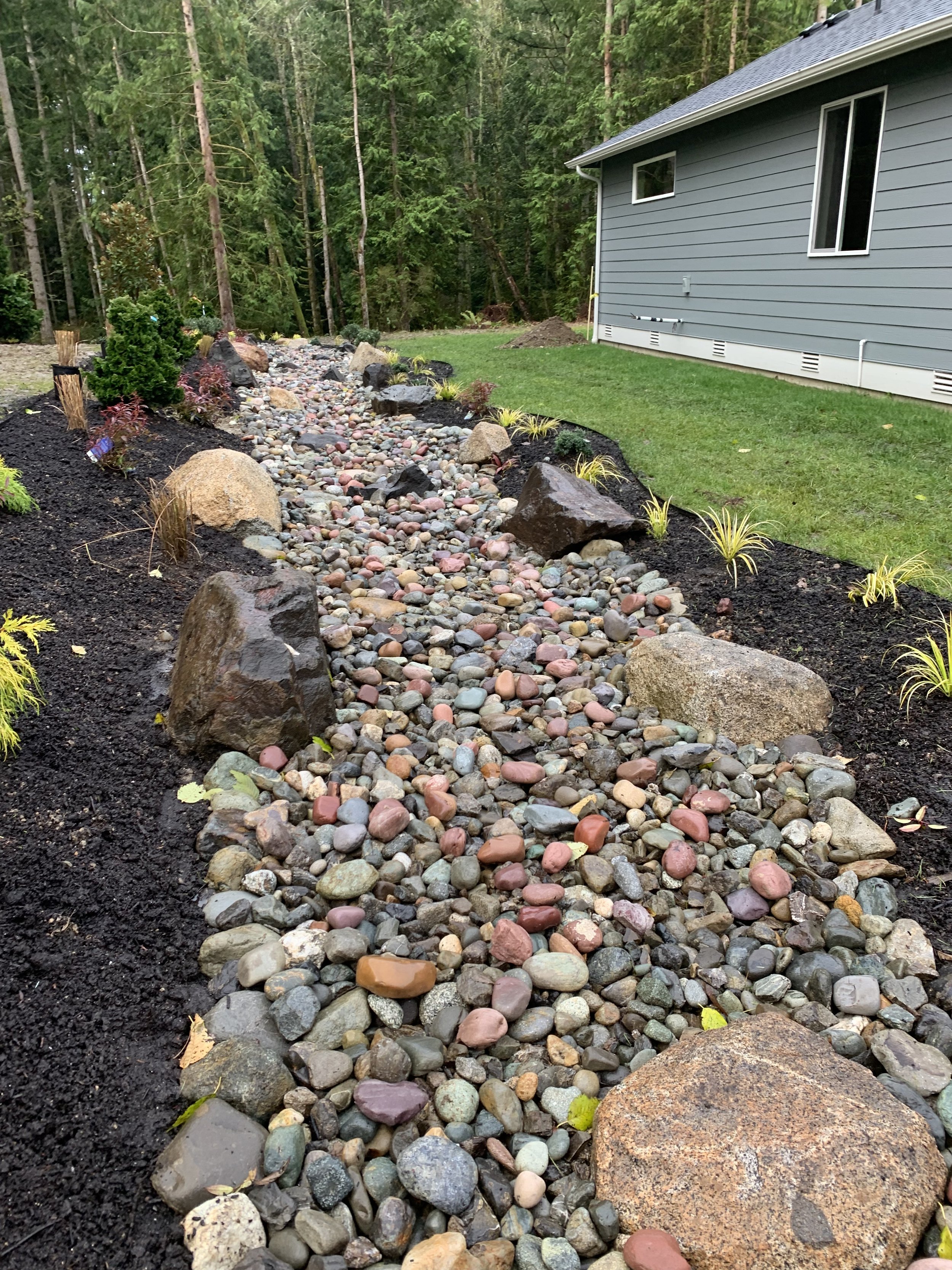 Dry Creek Bed- Before