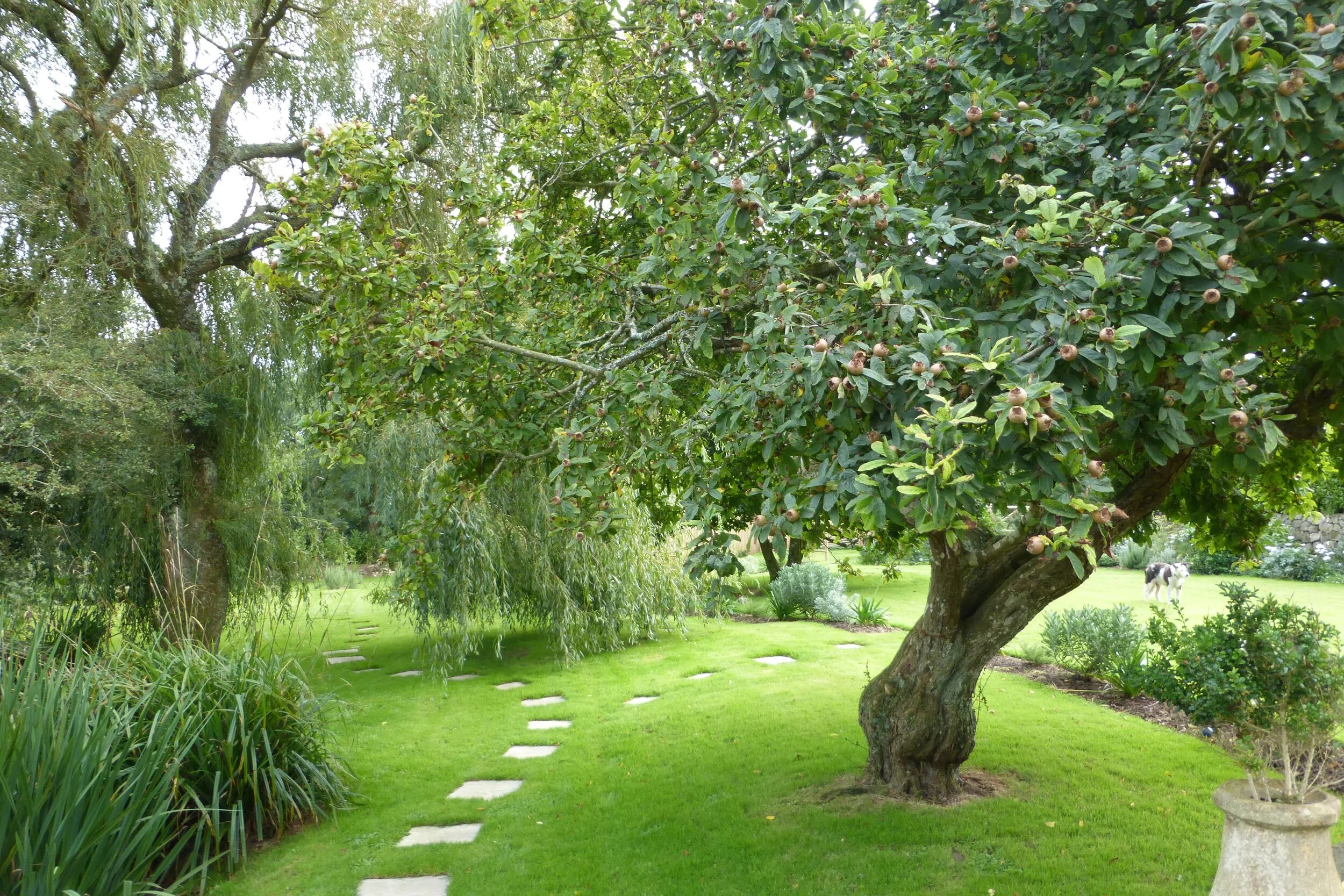 Wildscape - Cornwall Gardening Services - Wildscape Gardening