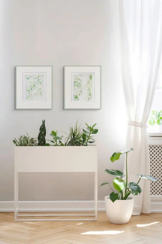 limelight 1 AND 2 MOCK PLANTS.jpg