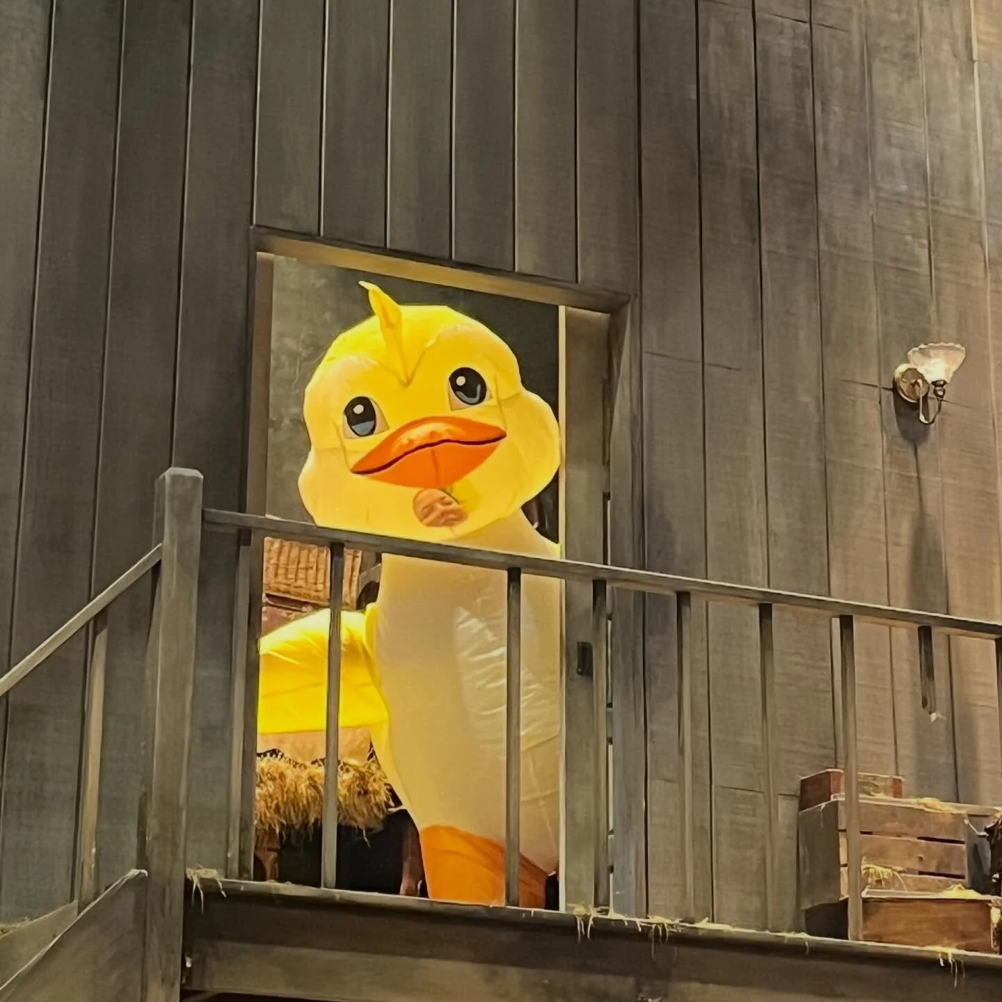 BEHIND THE SCENES
creating The Wild Duck ballet (for context, see previous post)
&bull;
@shakespeareindc 
#ballet #thewildduck #ibsen #backstage #fiddleronthefjord