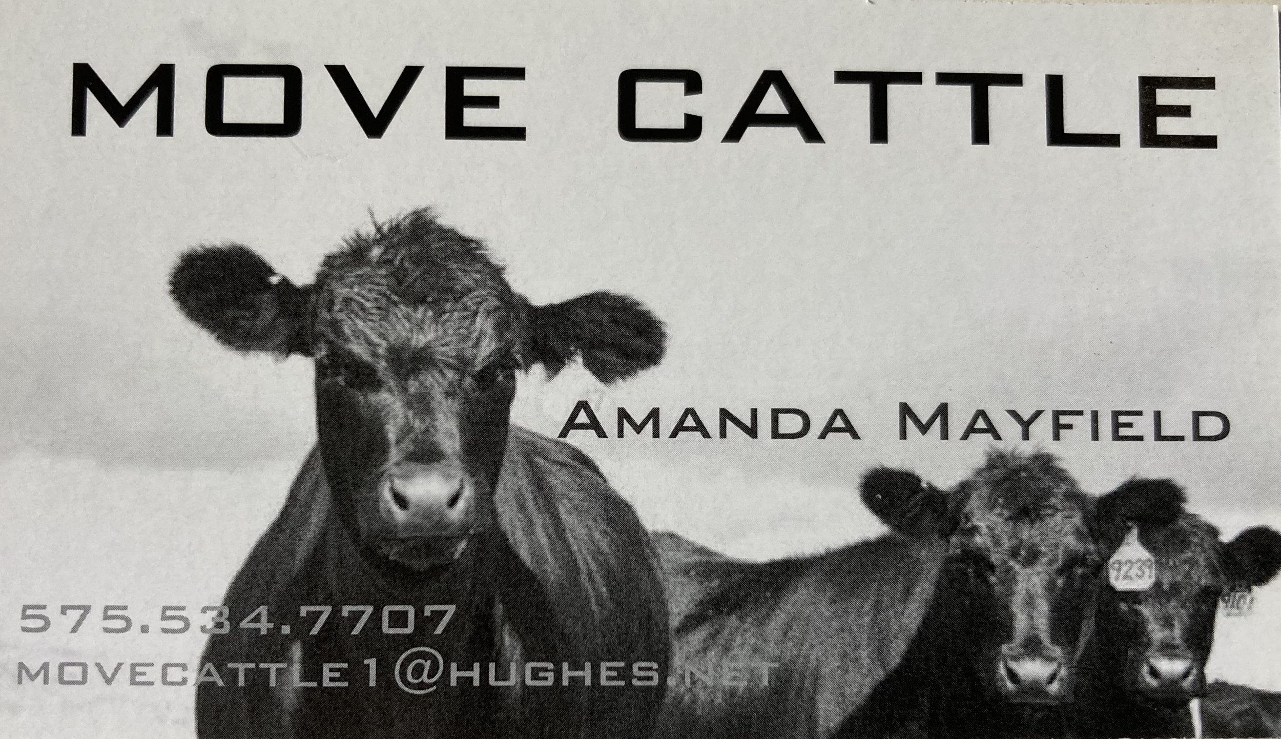 Move Cattle - Amanda Mayfield.jpg