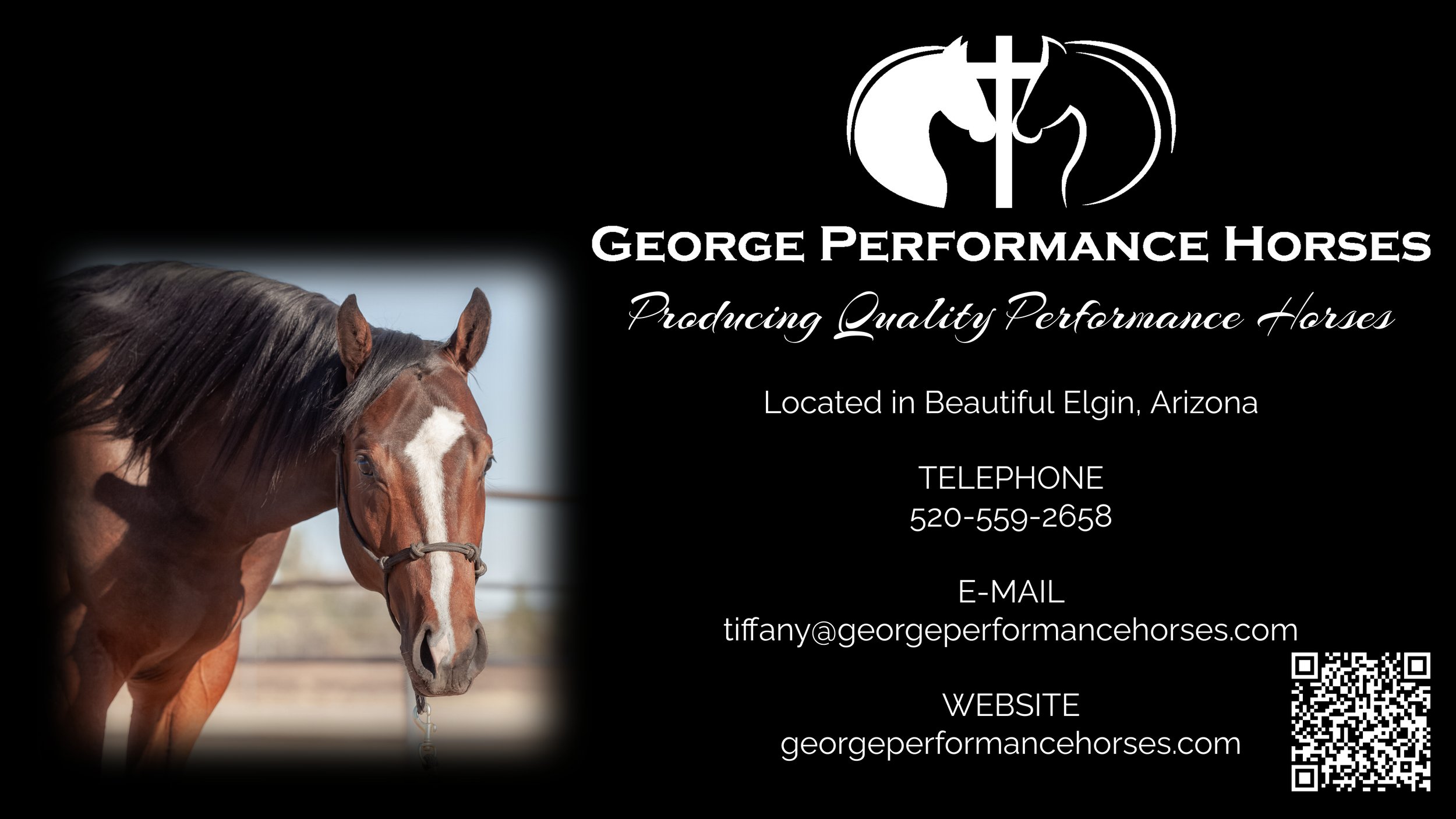 George Performance Horses.jpg