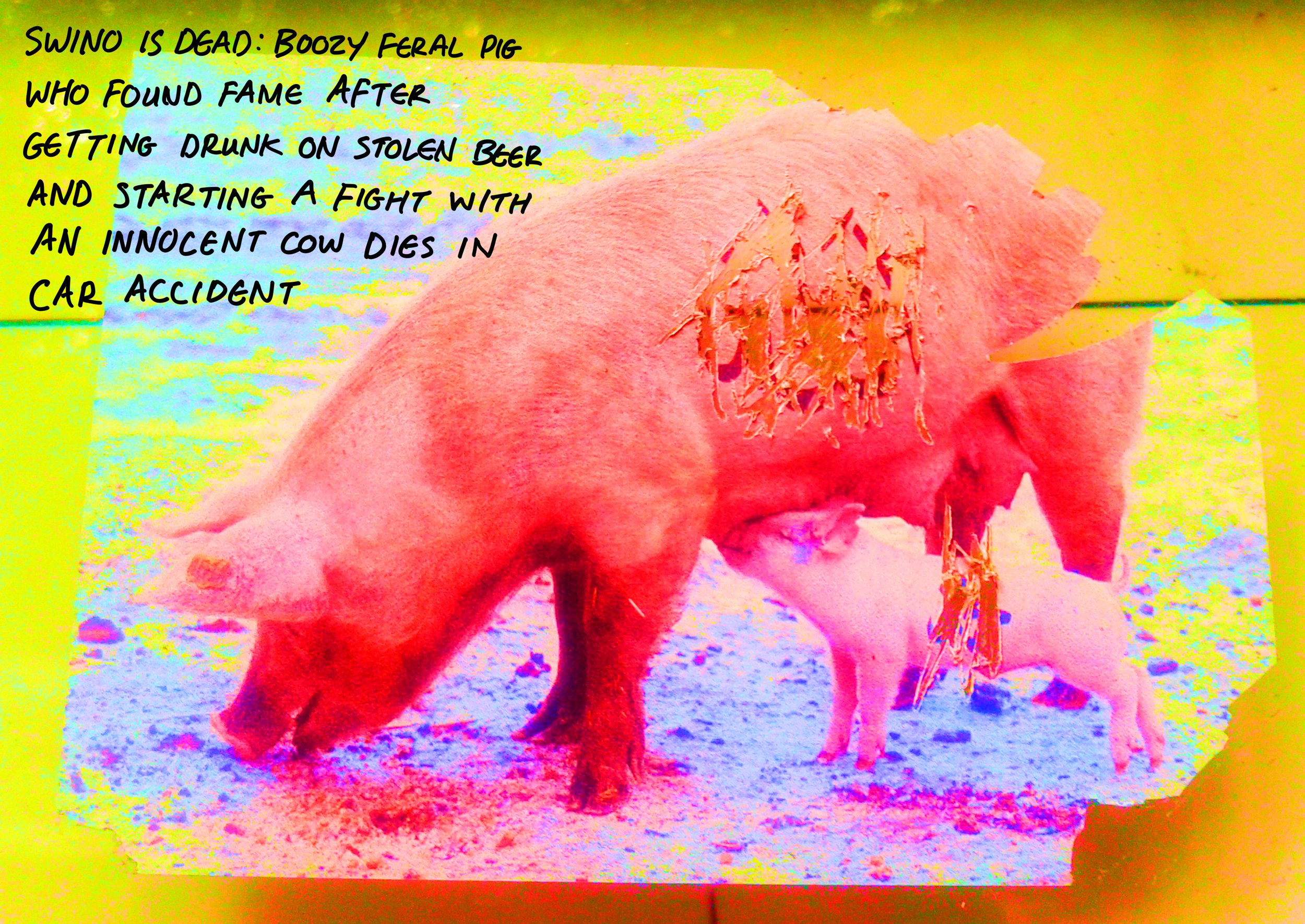 404 REMIX8.jpg
