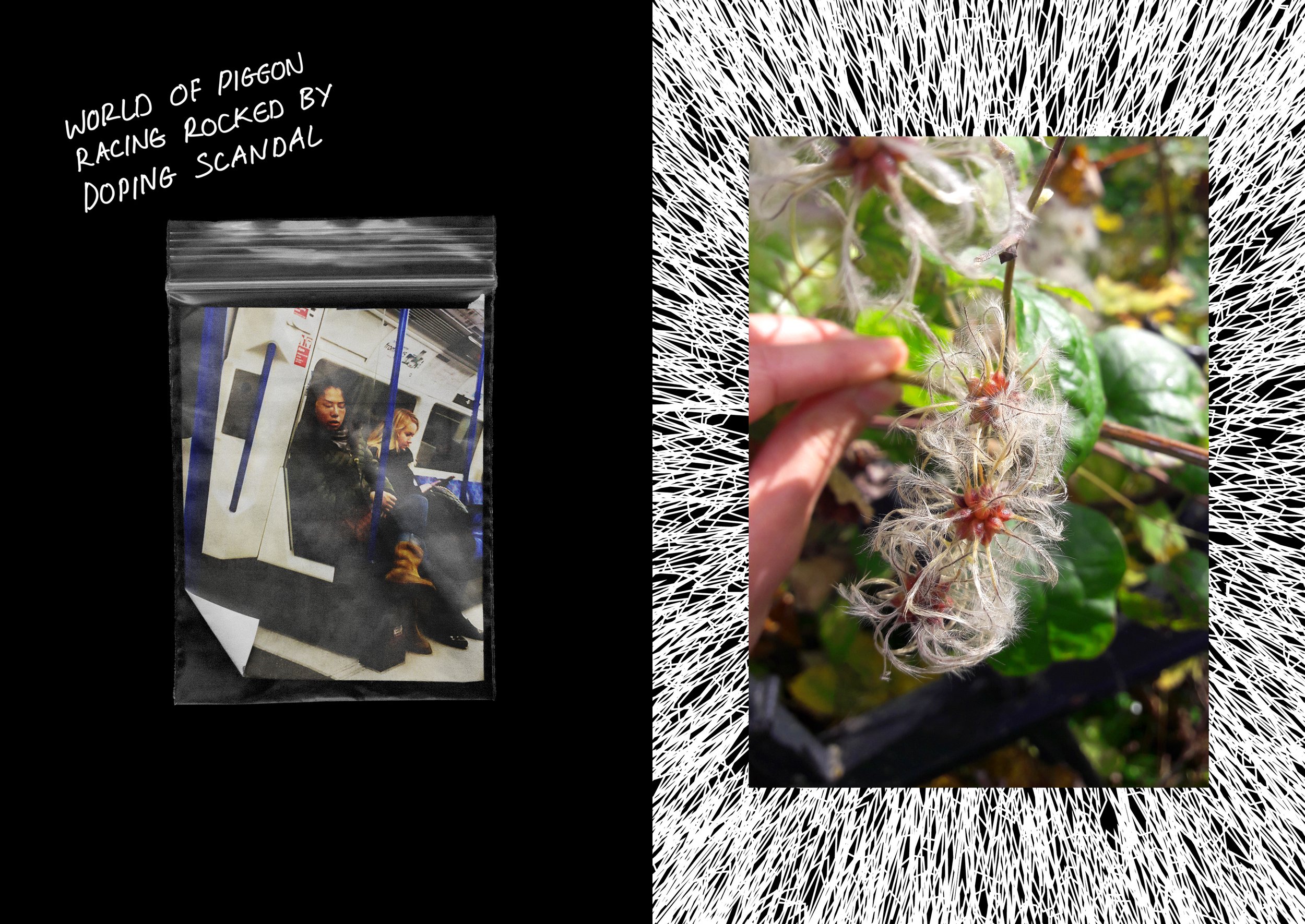 404 REMIX16.jpg