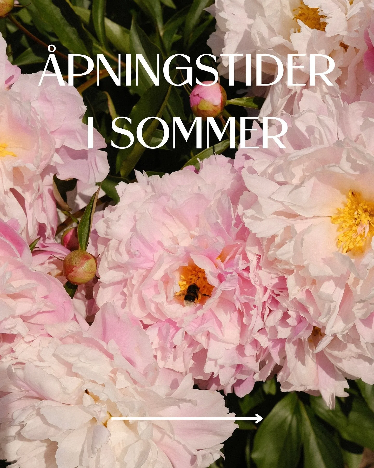 V&Aring;RE &Aring;PNINGSTIDER I SOMMER🌸 Vi holder stengt uke 29 og &aring;pner igjen mandag 21.07. I uke 30 har vi &aring;pent mandag til torsdag 9-16. I uke 34 har vi &aring;pent tirsdag 9-17 og torsdag 9-13. Ellers har vi vanlige &aring;pningstide