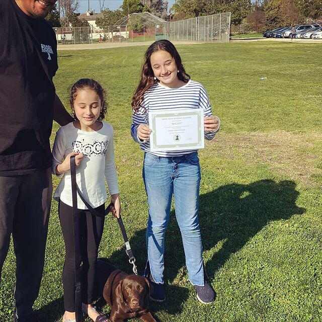 smart dogs dog training