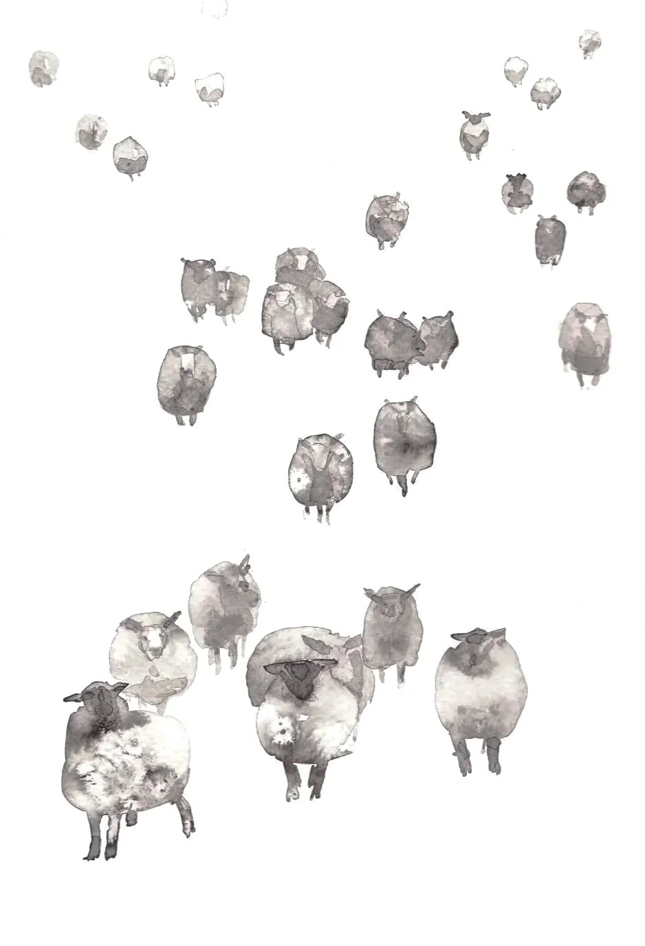 So%2BMany%2BSheep.jpg