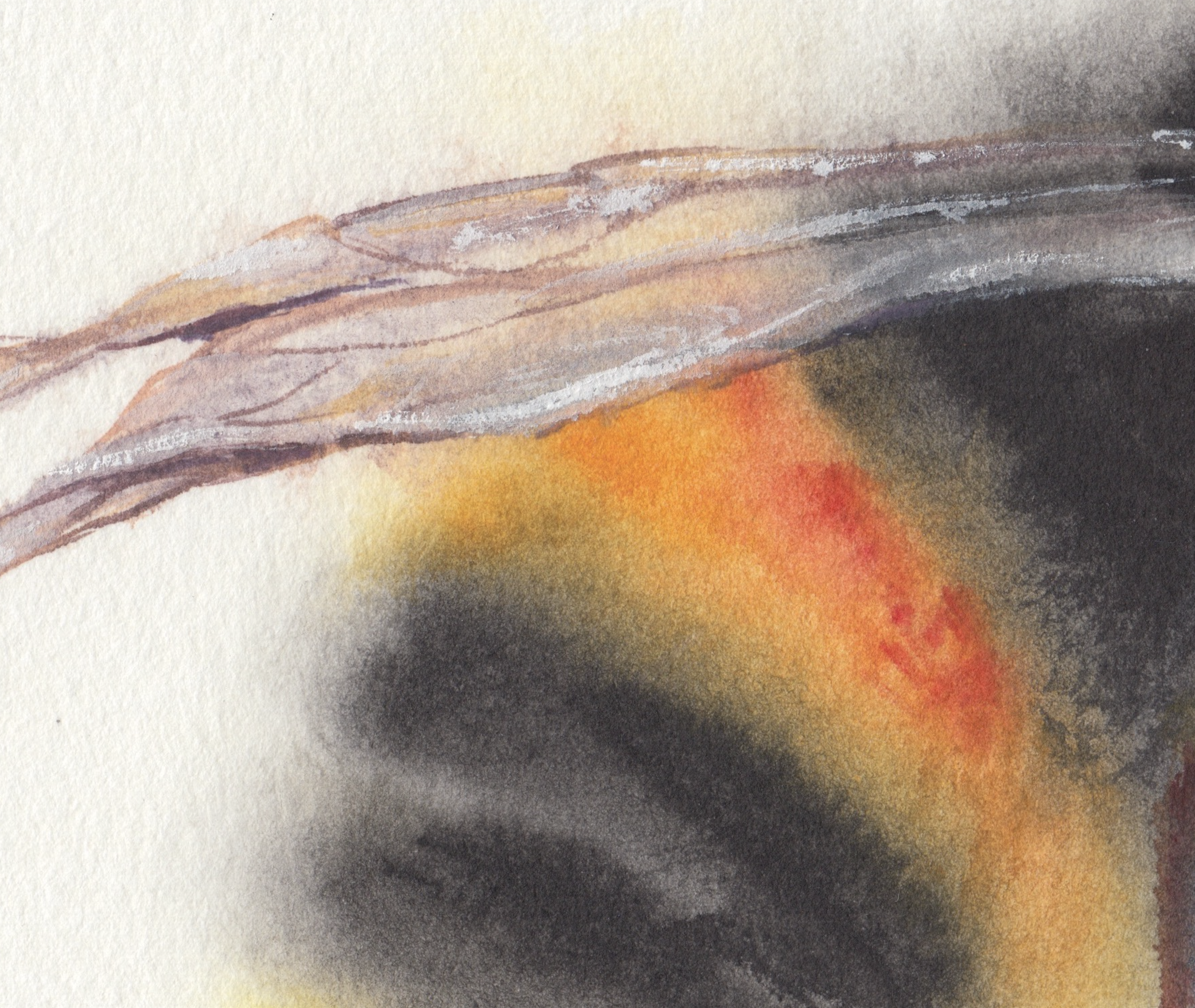 Boikiv_Bee No. 2 Close-up.png