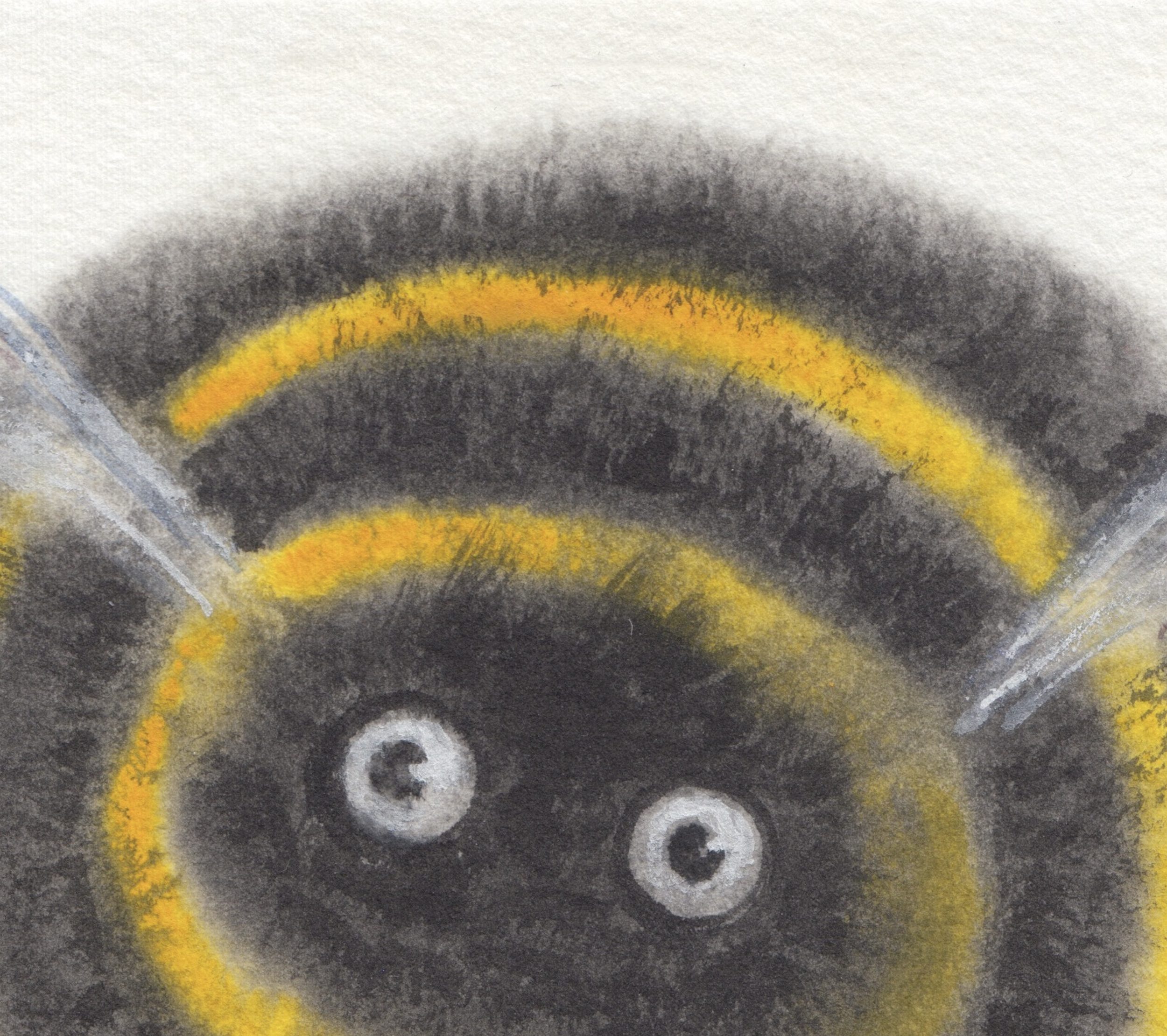 Bumblebee No. 2.2.png