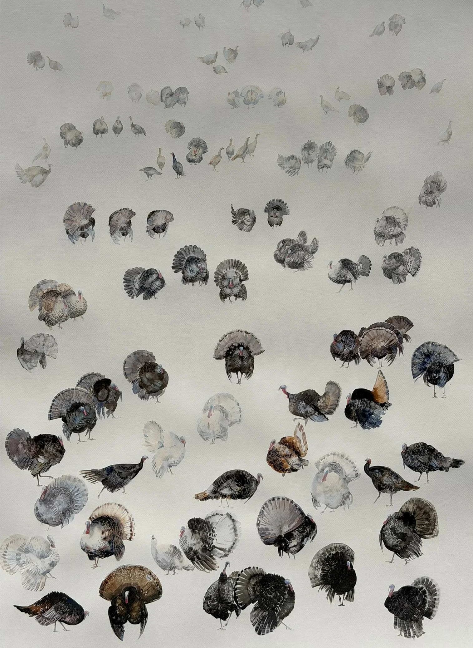 Turkeys. Between Memory and Presence