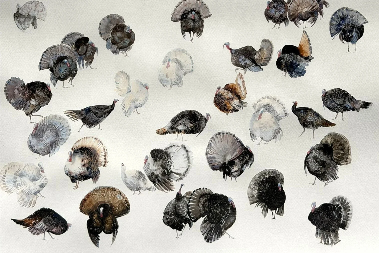 Turkeys. Between Memory and Presence