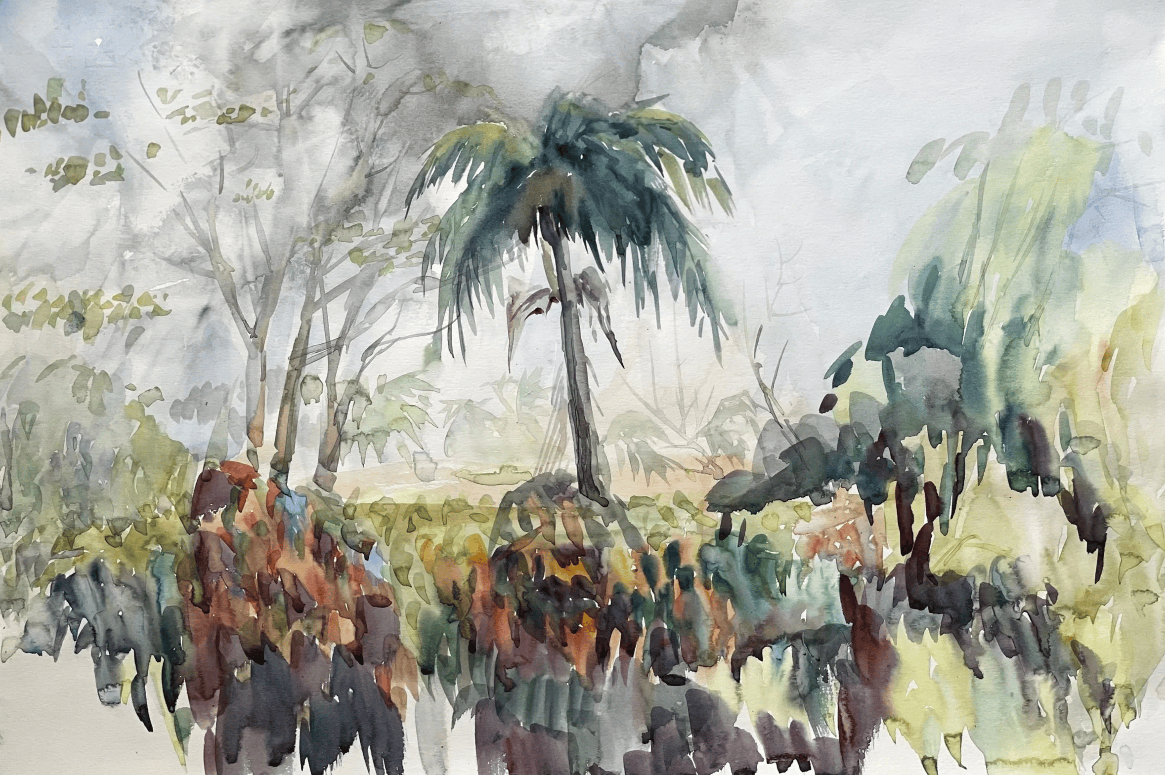 Tropical Line (Dominican Republic)