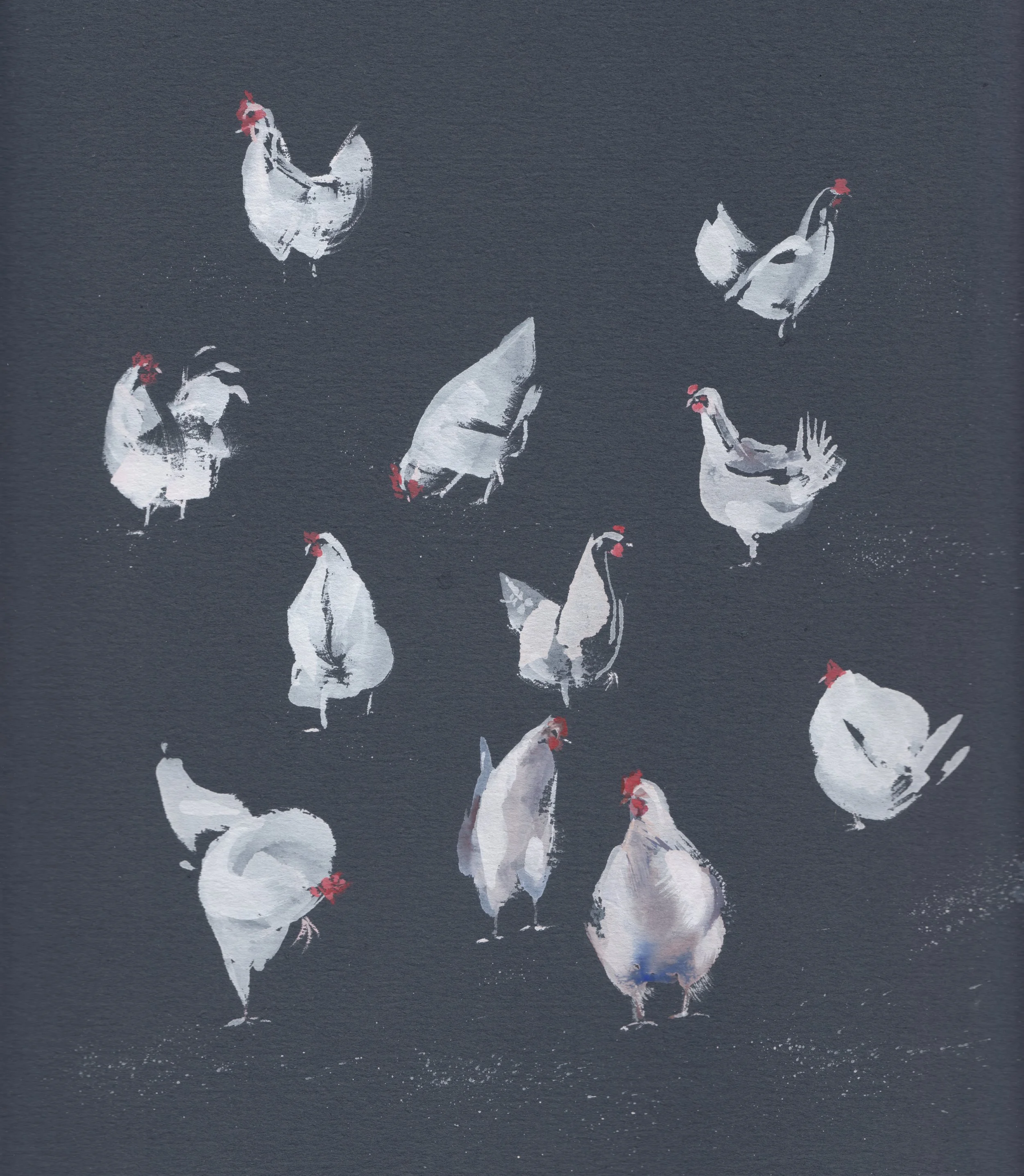 Chickens In Contrast.jpeg