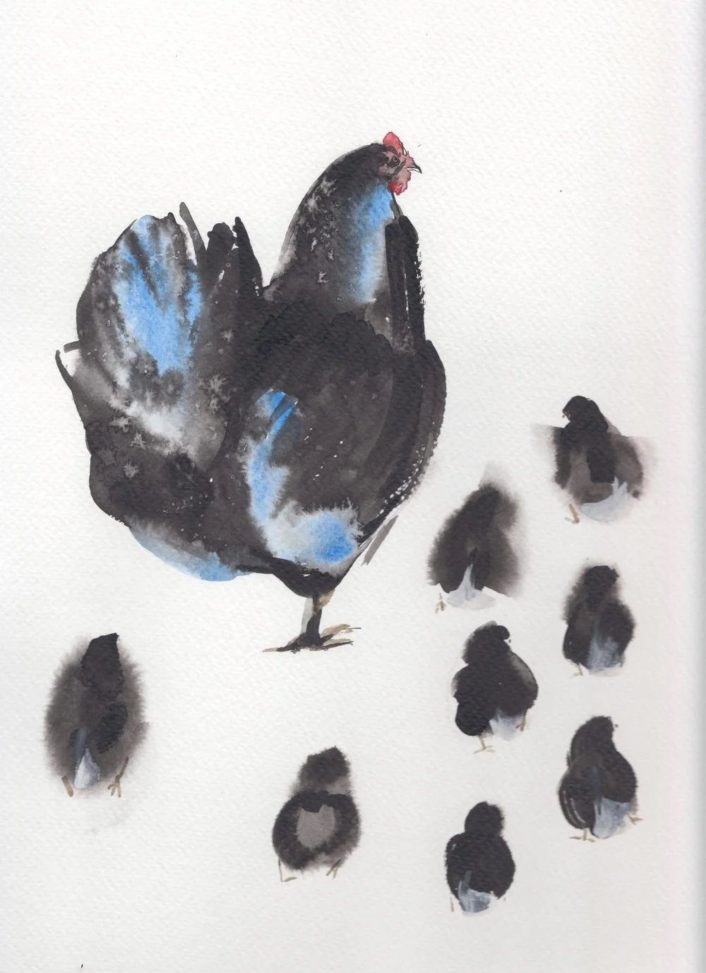 Black Hen and Chicks.jpeg