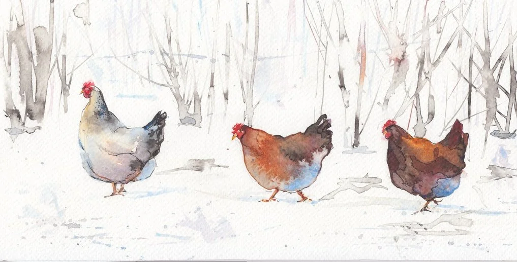 Three Walking Hens.jpeg