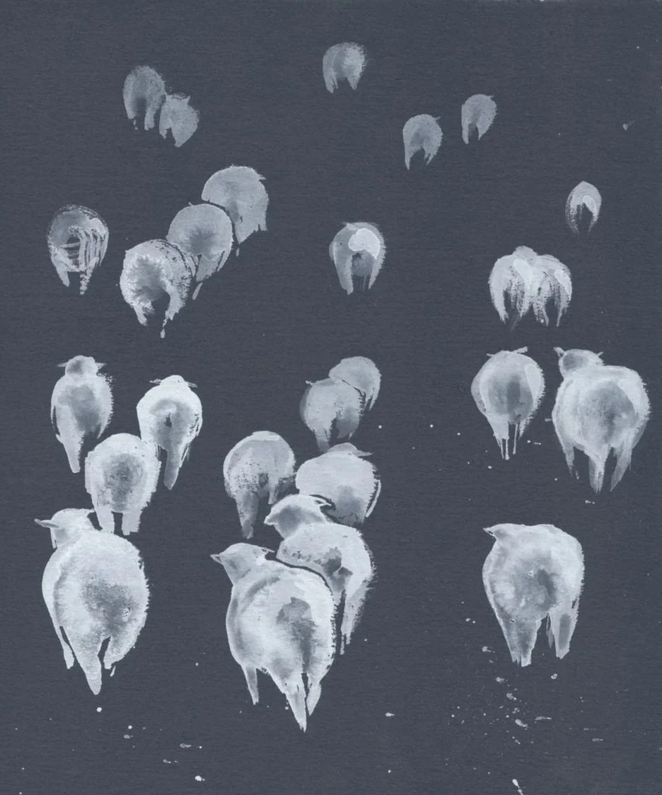 White+Sheep+On+Black.jpg