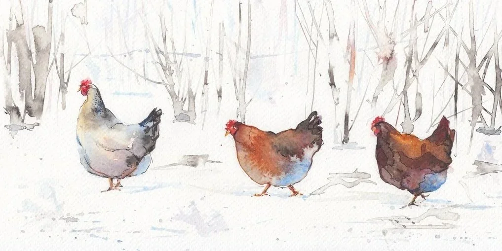 Three+Walking+Hens.jpg