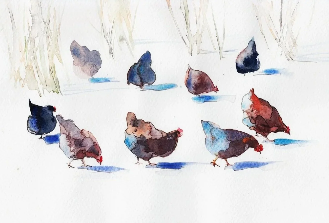 Nine%2BShadows%2BOn%2BSnow.jpg
