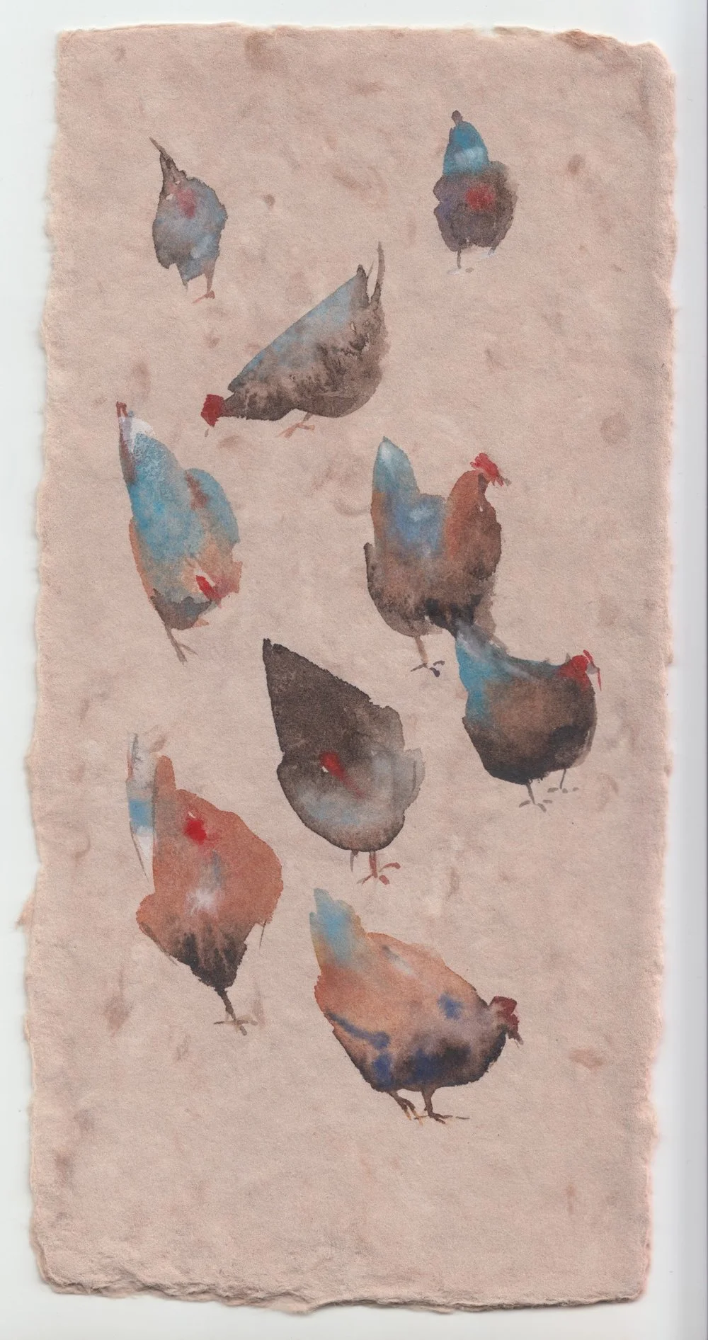 Hens On the Soft Field.jpeg