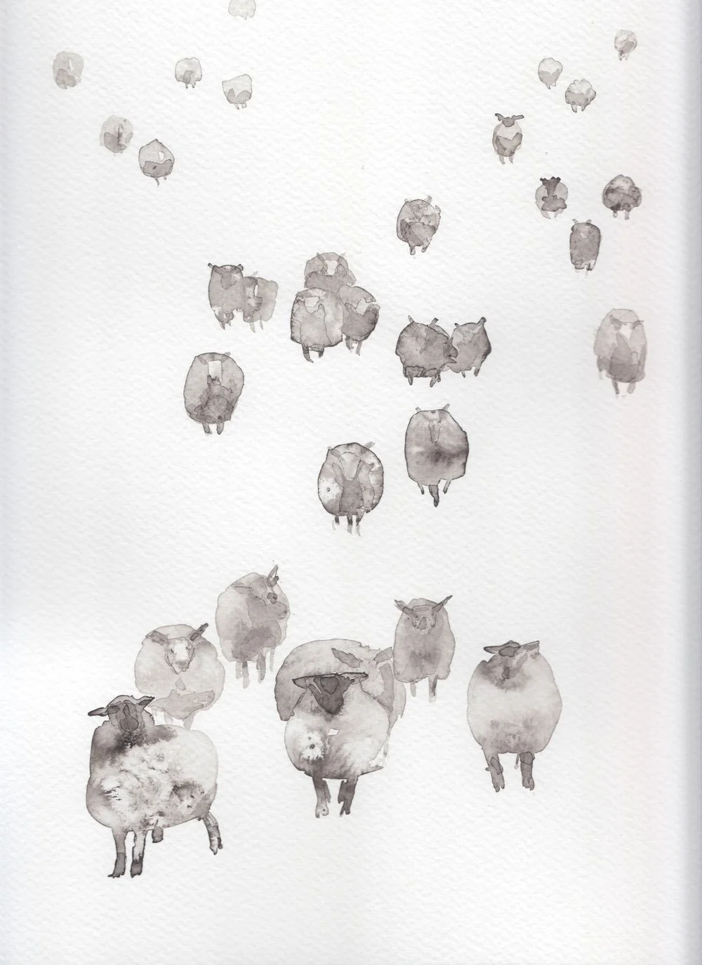 So Many Sheep.jpeg