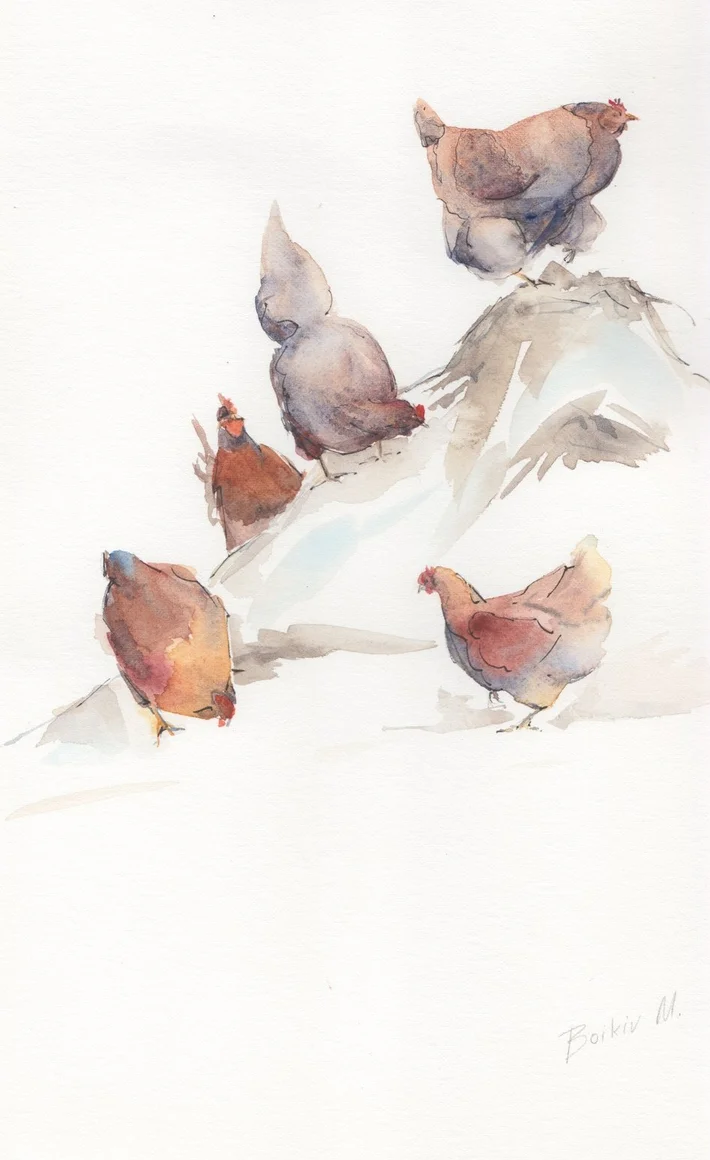 Chickens%2BOn%2Bthe%2BThrone.png