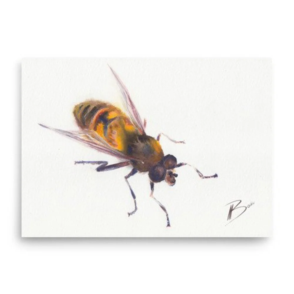 Small Bee No. 2