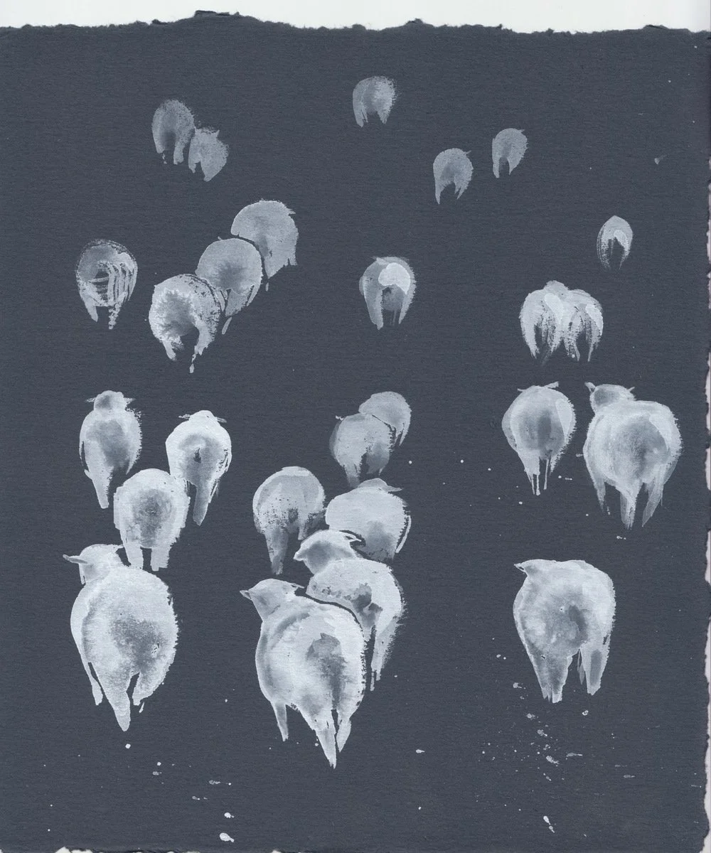 White Sheep On Black.jpeg