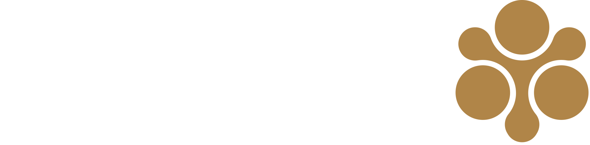 lounge-inv.png
